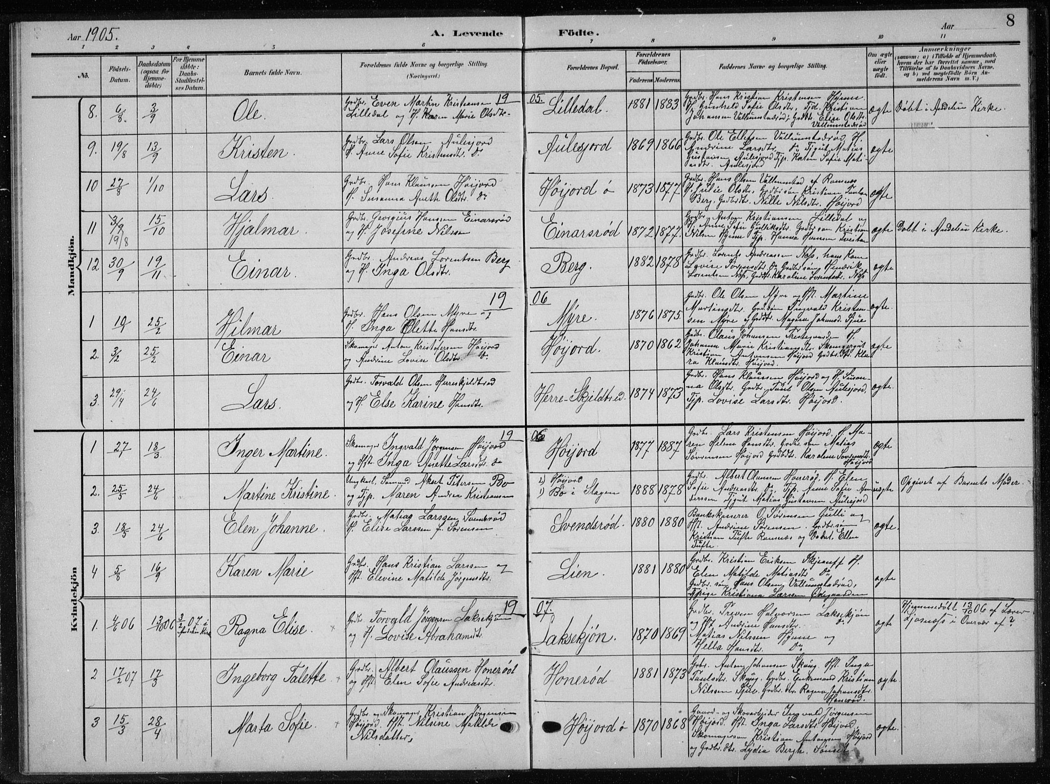 Andebu kirkebøker, AV/SAKO-A-336/G/Gb/L0001: Parish register (copy) no. II 1, 1901-1936, p. 8