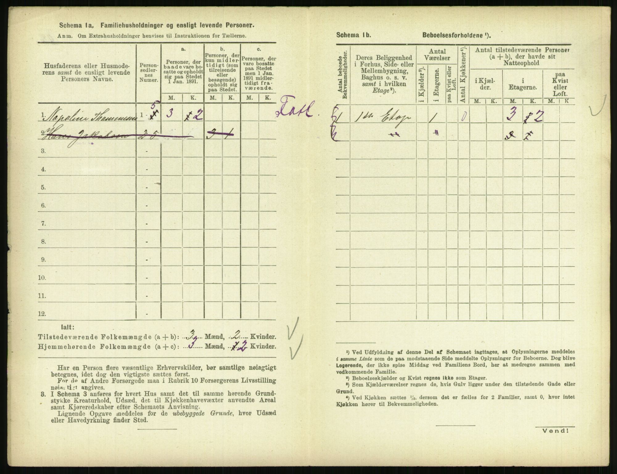 RA, 1891 census for 0804 Brevik, 1891, p. 494