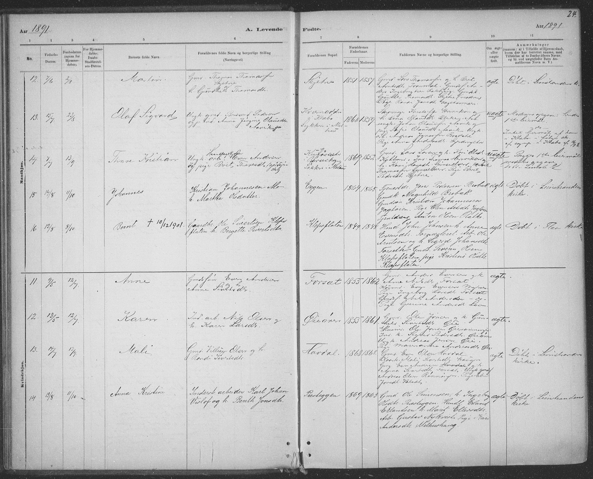 Ministerialprotokoller, klokkerbøker og fødselsregistre - Sør-Trøndelag, SAT/A-1456/691/L1085: Parish register (official) no. 691A17, 1887-1908, p. 24
