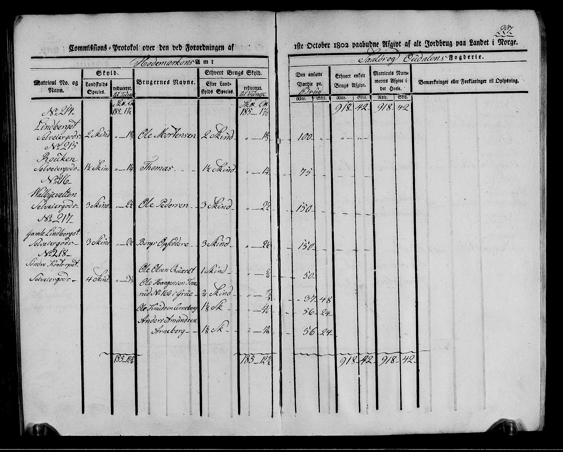 Rentekammeret inntil 1814, Realistisk ordnet avdeling, RA/EA-4070/N/Ne/Nea/L0026: Solør og Odal fogderi. Kommisjonsprotokoll (gjenpart), 1803, p. 229