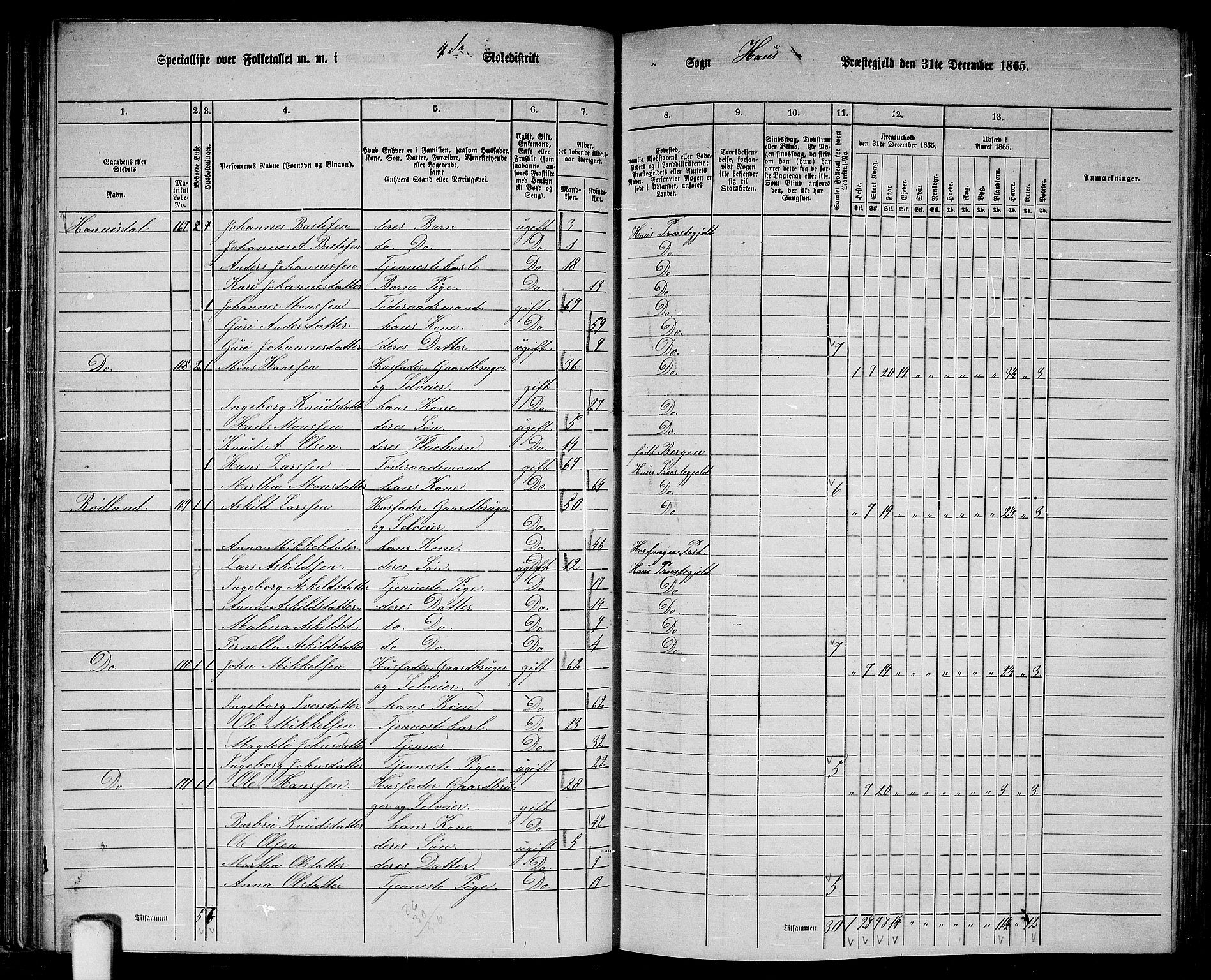 RA, 1865 census for Haus, 1865, p. 77