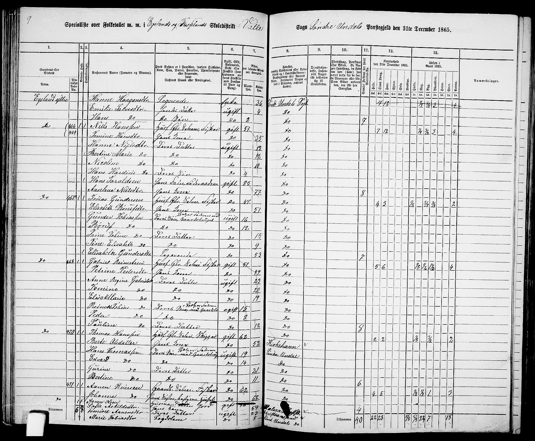 RA, 1865 census for Sør-Audnedal, 1865, p. 73