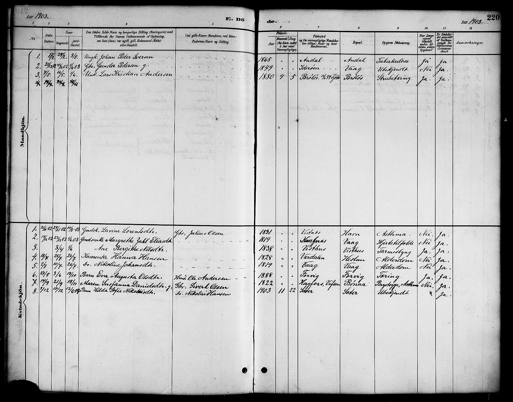 Ministerialprotokoller, klokkerbøker og fødselsregistre - Nordland, AV/SAT-A-1459/819/L0277: Parish register (copy) no. 819C03, 1888-1917, p. 220
