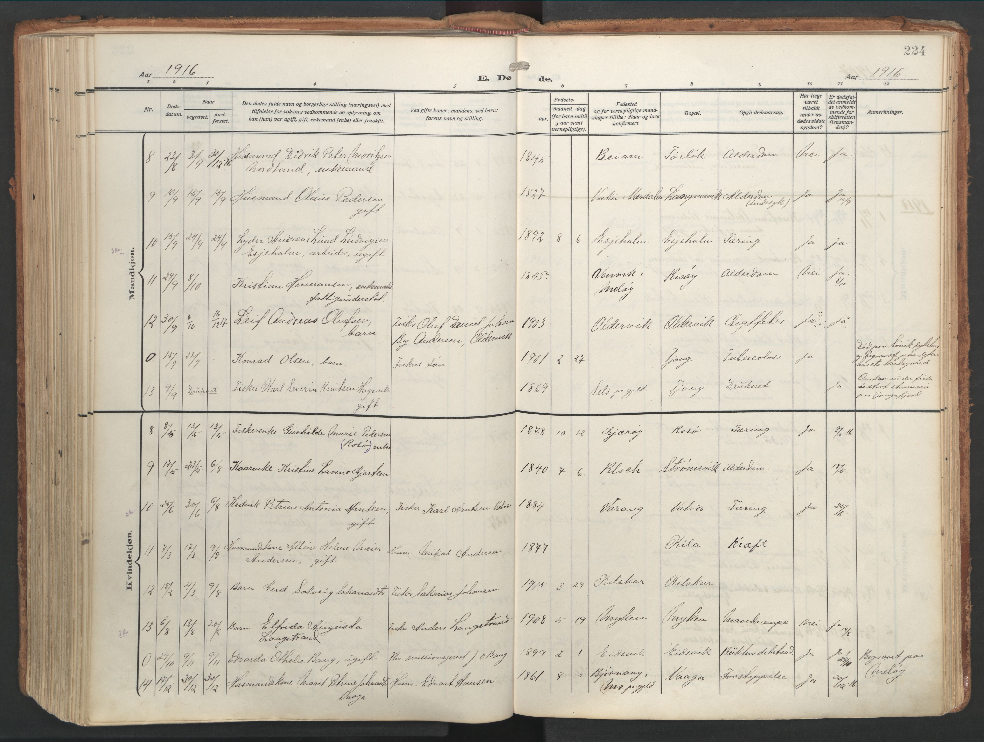 Ministerialprotokoller, klokkerbøker og fødselsregistre - Nordland, AV/SAT-A-1459/841/L0614: Parish register (official) no. 841A17, 1911-1925, p. 224