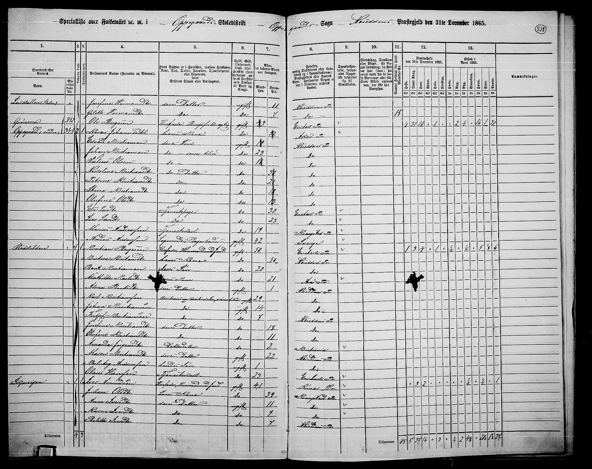 RA, 1865 census for Nesodden, 1865, p. 55