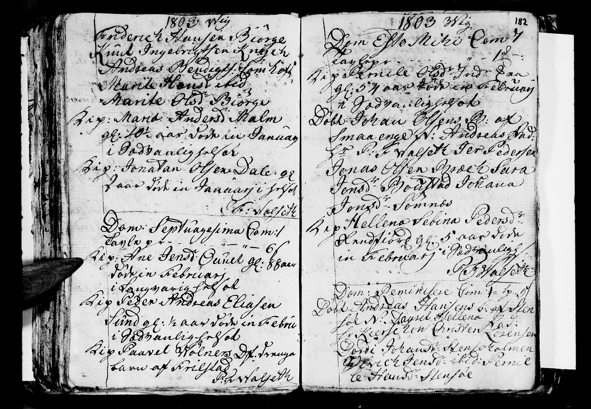 Ministerialprotokoller, klokkerbøker og fødselsregistre - Nordland, AV/SAT-A-1459/812/L0184: Parish register (copy) no. 812C02, 1793-1809, p. 182