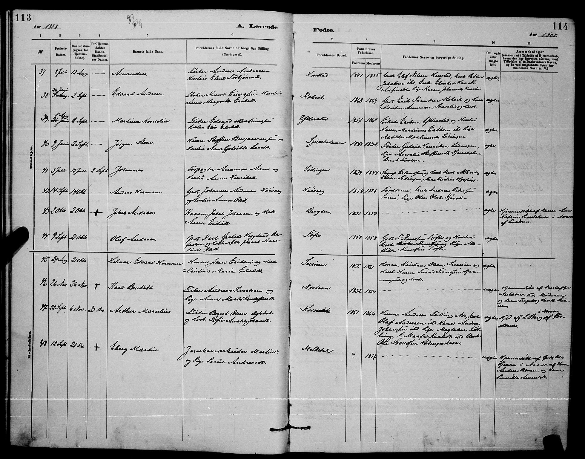 Ministerialprotokoller, klokkerbøker og fødselsregistre - Nordland, AV/SAT-A-1459/872/L1047: Parish register (copy) no. 872C03, 1880-1897, p. 113-114