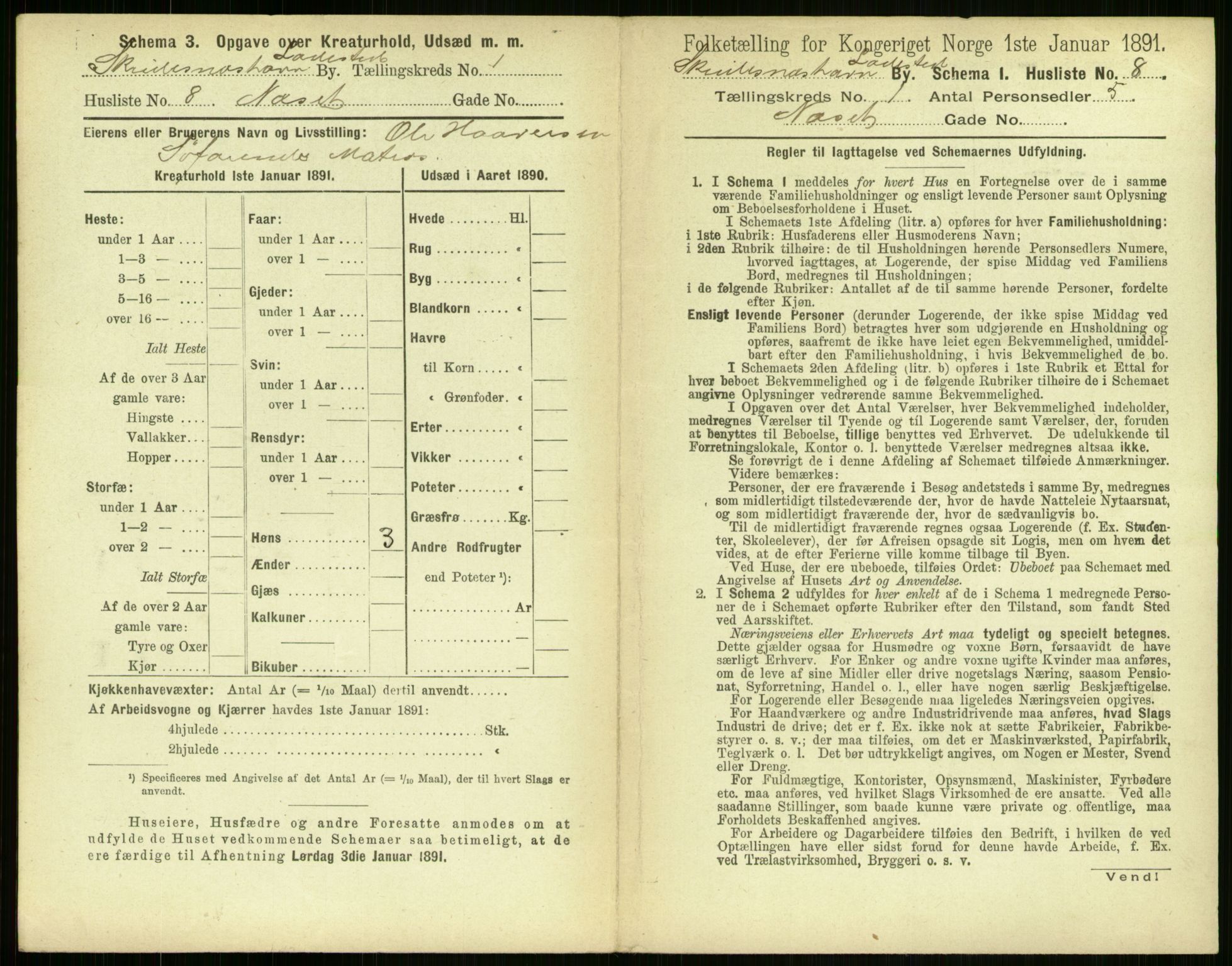 RA, 1891 census for 1104 Skudeneshavn, 1891, p. 30