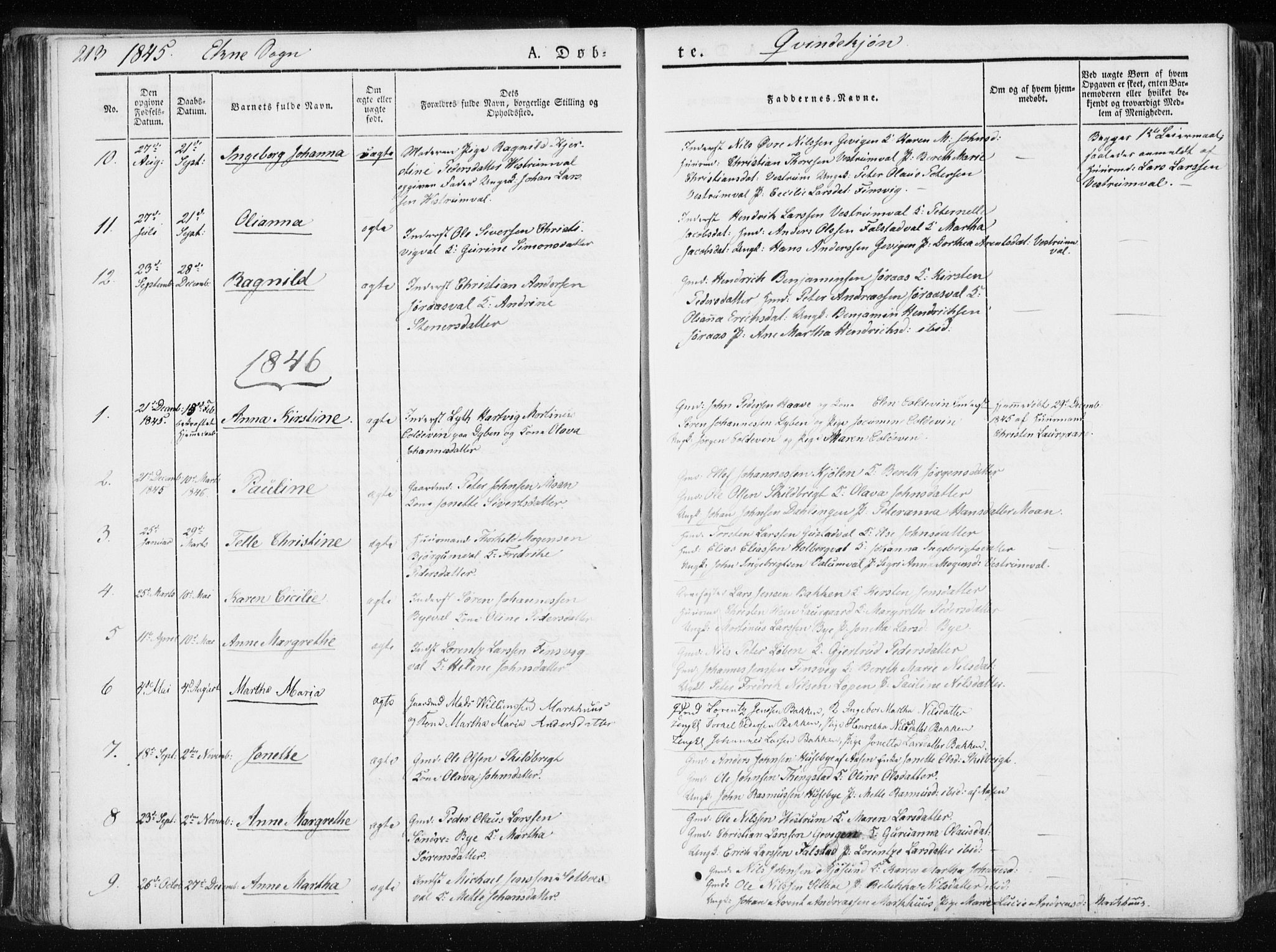 Ministerialprotokoller, klokkerbøker og fødselsregistre - Nord-Trøndelag, SAT/A-1458/717/L0154: Parish register (official) no. 717A06 /2, 1836-1849, p. 213