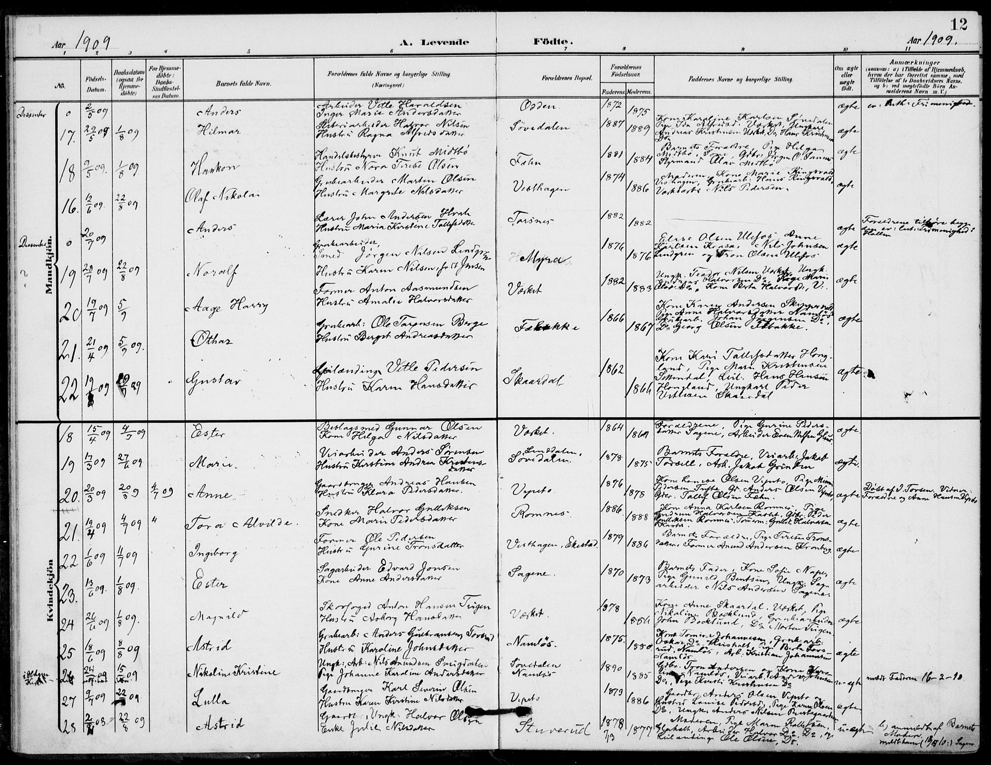 Holla kirkebøker, AV/SAKO-A-272/F/Fa/L0012: Parish register (official) no. 12, 1907-1923, p. 12