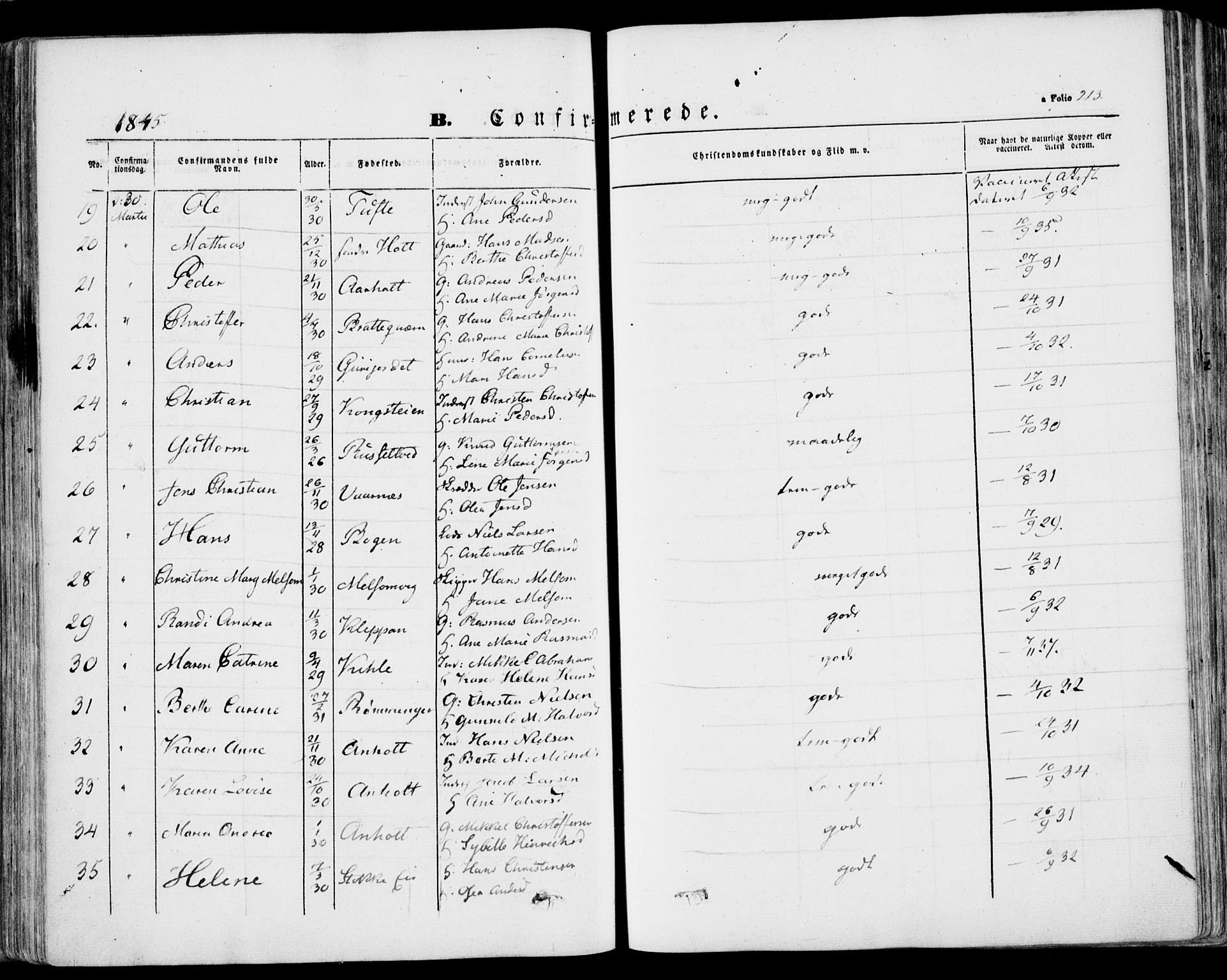 Stokke kirkebøker, AV/SAKO-A-320/F/Fa/L0007: Parish register (official) no. I 7, 1844-1857, p. 213