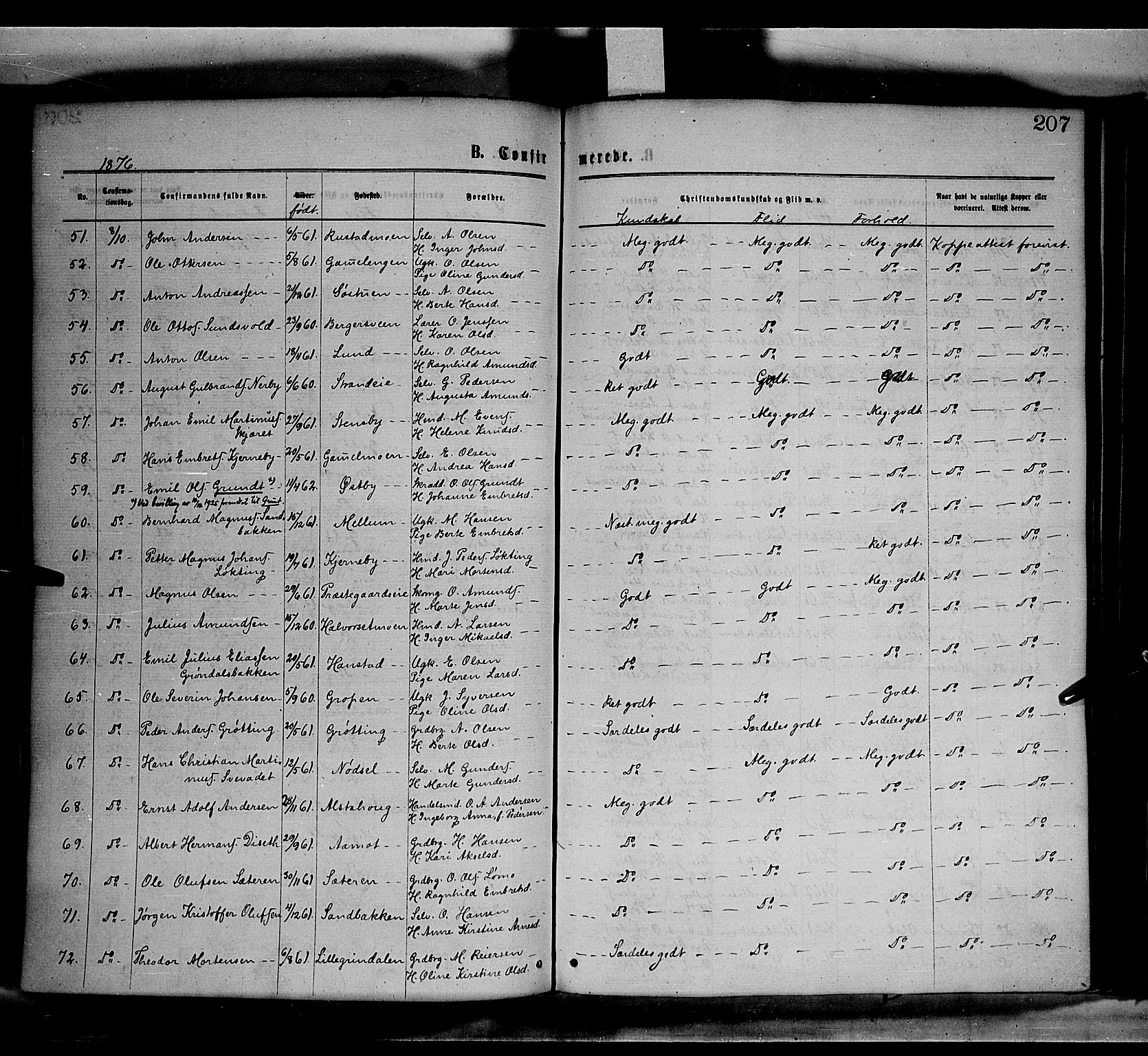 Elverum prestekontor, AV/SAH-PREST-044/H/Ha/Haa/L0011: Parish register (official) no. 11, 1869-1879, p. 207