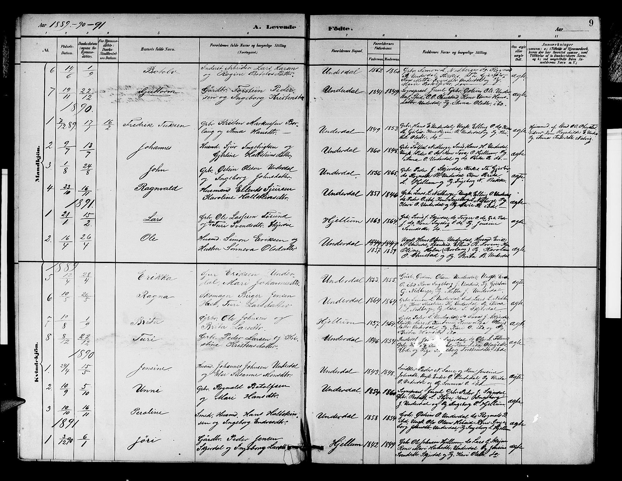 Aurland sokneprestembete, SAB/A-99937/H/Hb/Hbd/L0002: Parish register (copy) no. D 2, 1883-1920, p. 9