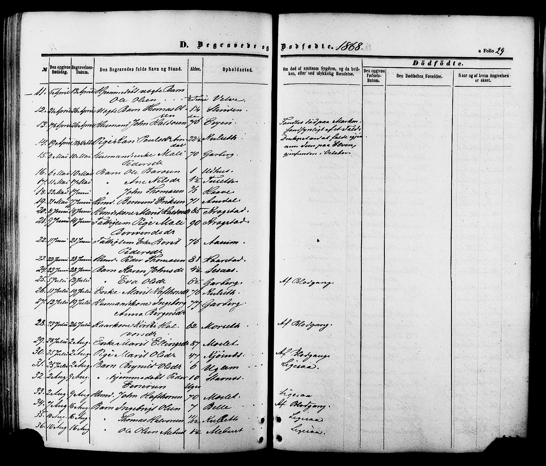 Ministerialprotokoller, klokkerbøker og fødselsregistre - Sør-Trøndelag, AV/SAT-A-1456/695/L1147: Parish register (official) no. 695A07, 1860-1877, p. 29