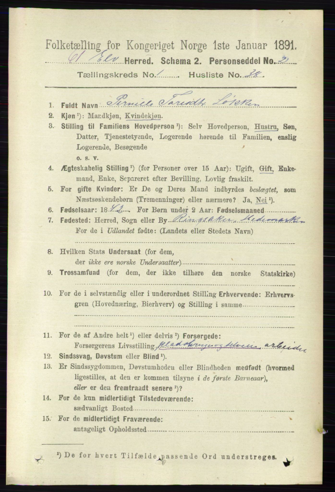 RA, 1891 census for 0427 Elverum, 1891, p. 425