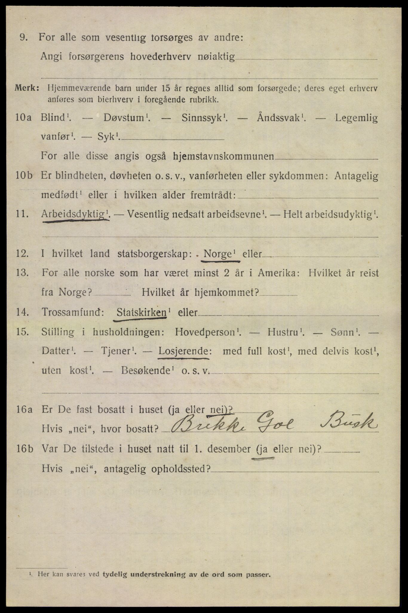 SAKO, 1920 census for Nes (Buskerud), 1920, p. 2491