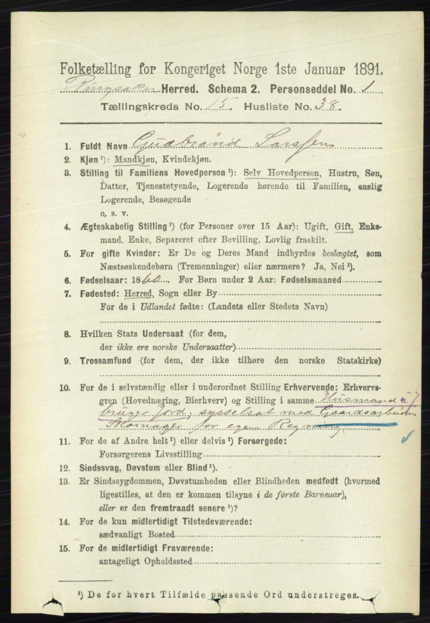 RA, 1891 census for 0412 Ringsaker, 1891, p. 8729