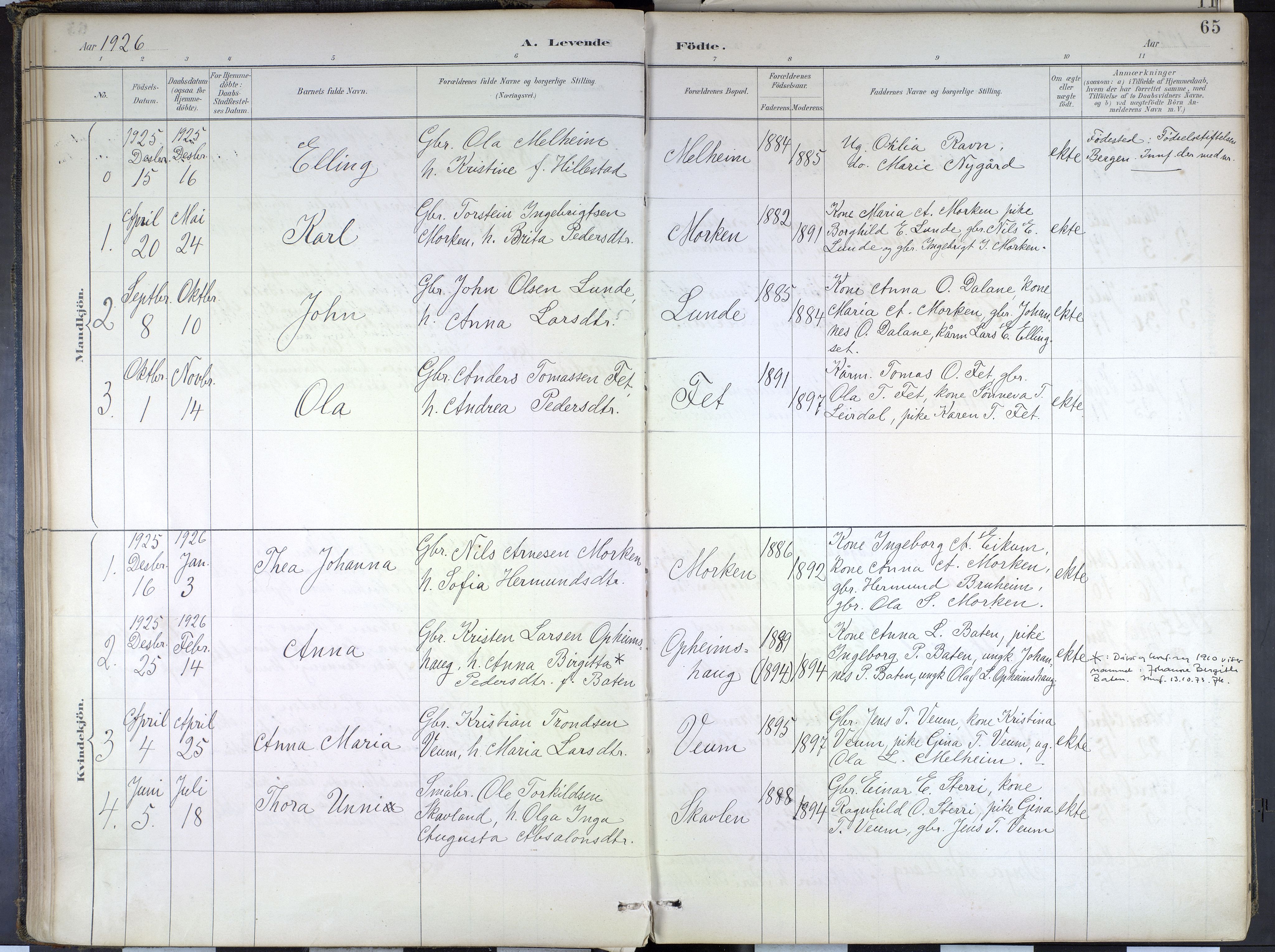 Hafslo sokneprestembete, SAB/A-80301/H/Haa/Haad/L0001: Parish register (official) no. D 1, 1886-1934, p. 65