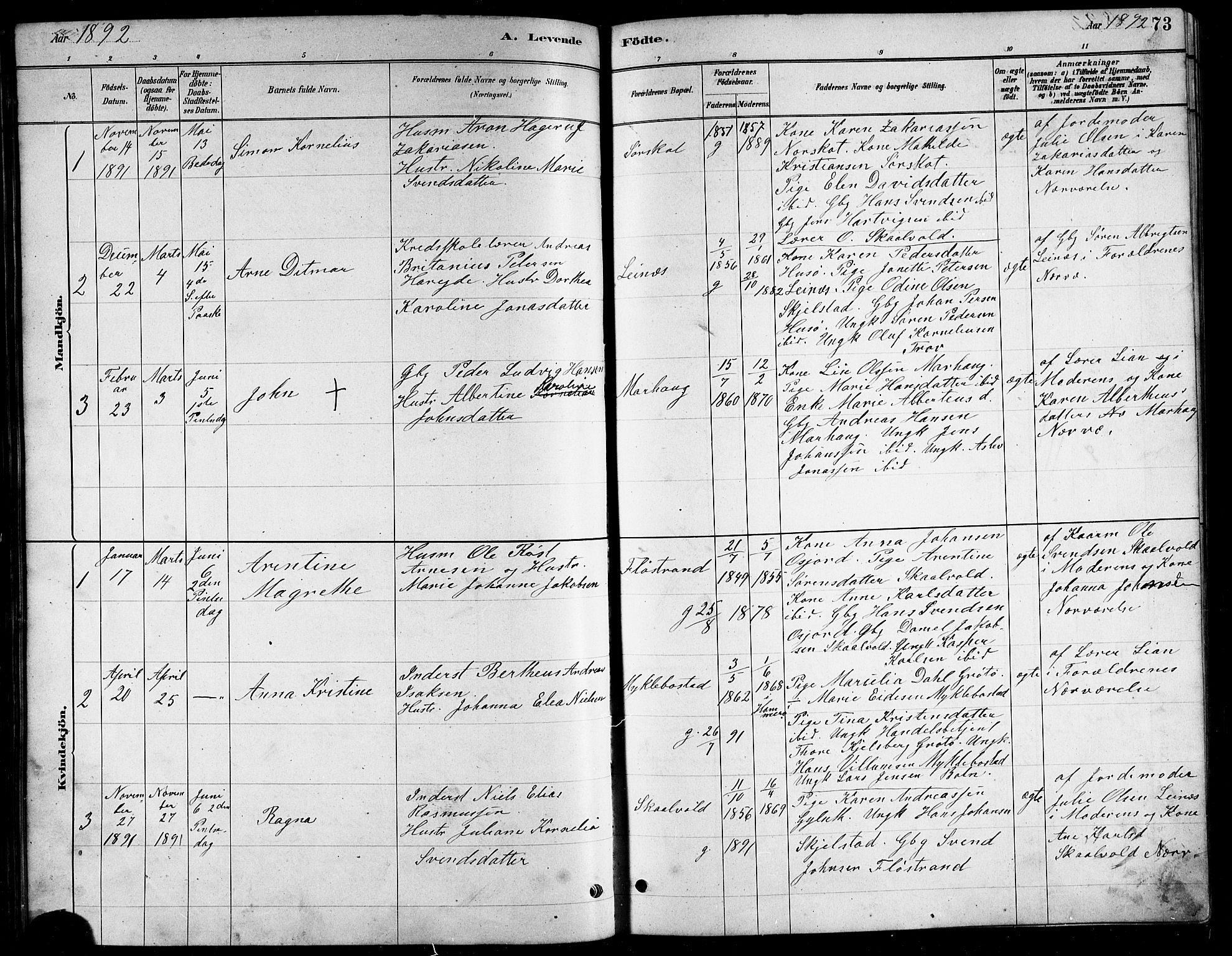 Ministerialprotokoller, klokkerbøker og fødselsregistre - Nordland, AV/SAT-A-1459/857/L0828: Parish register (copy) no. 857C03, 1879-1908, p. 73