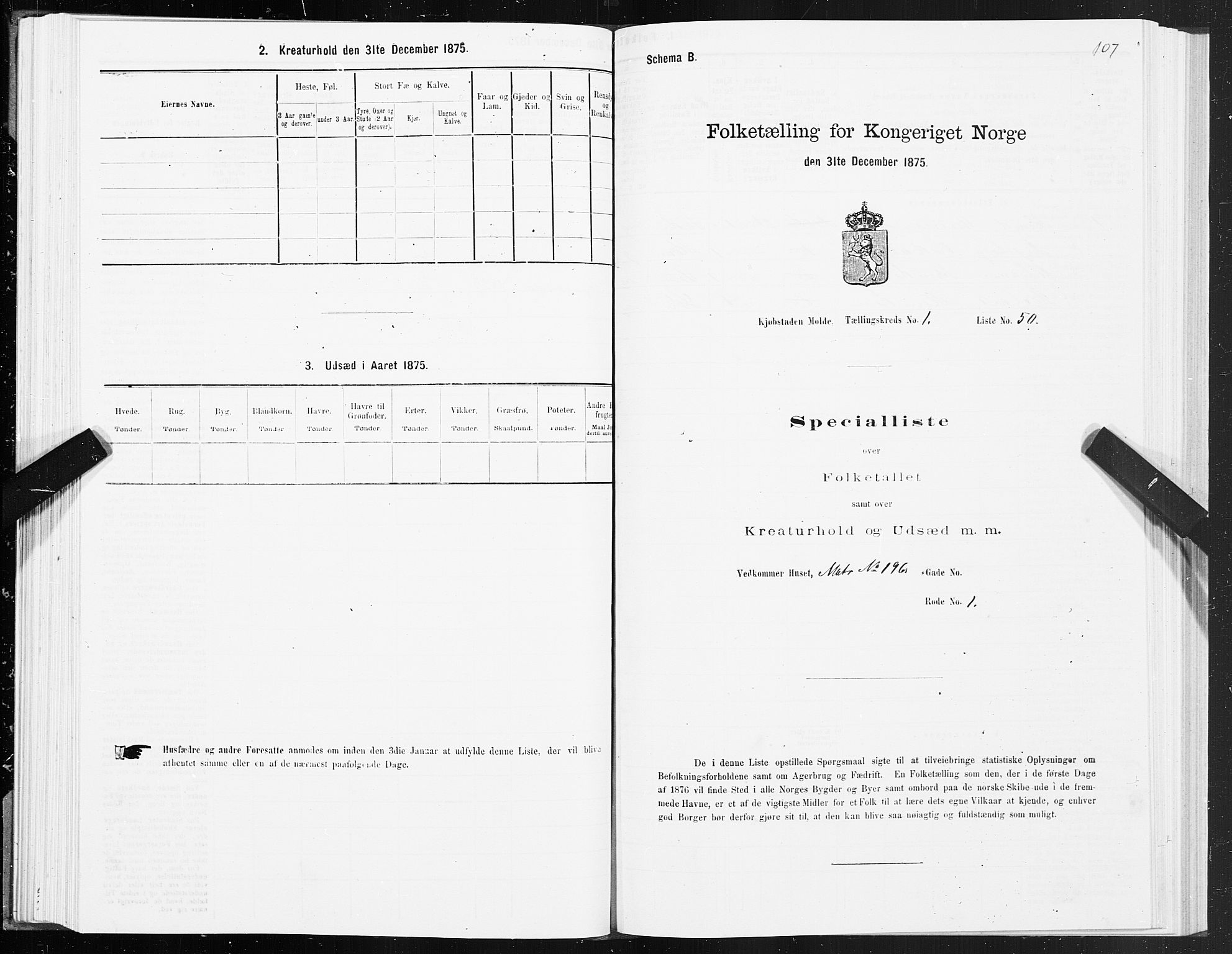 SAT, 1875 census for 1502P Molde, 1875, p. 1107