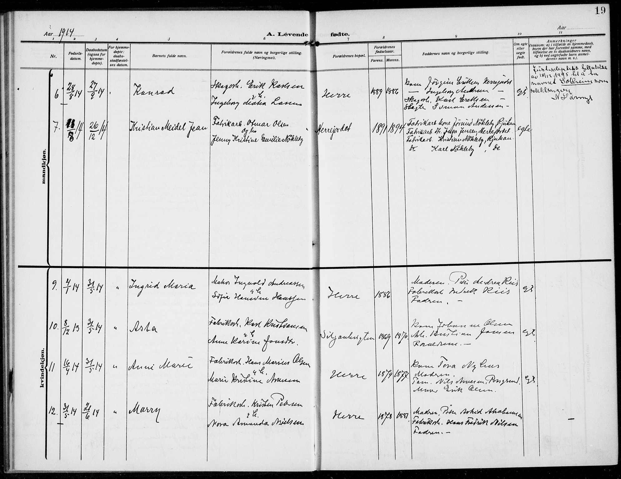 Bamble kirkebøker, AV/SAKO-A-253/F/Fc/L0001: Parish register (official) no. III 1, 1909-1916, p. 19