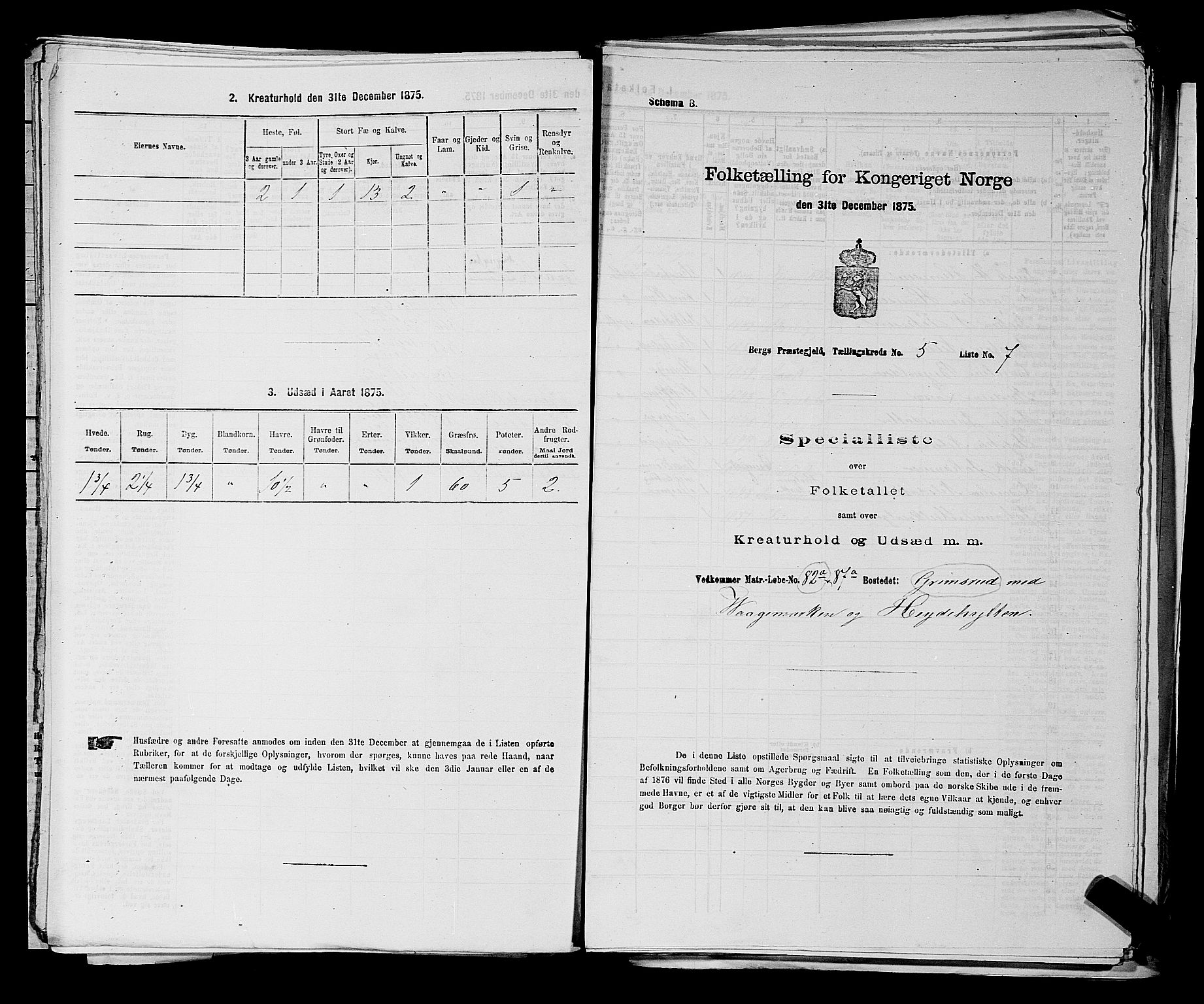RA, 1875 census for 0116P Berg, 1875, p. 697