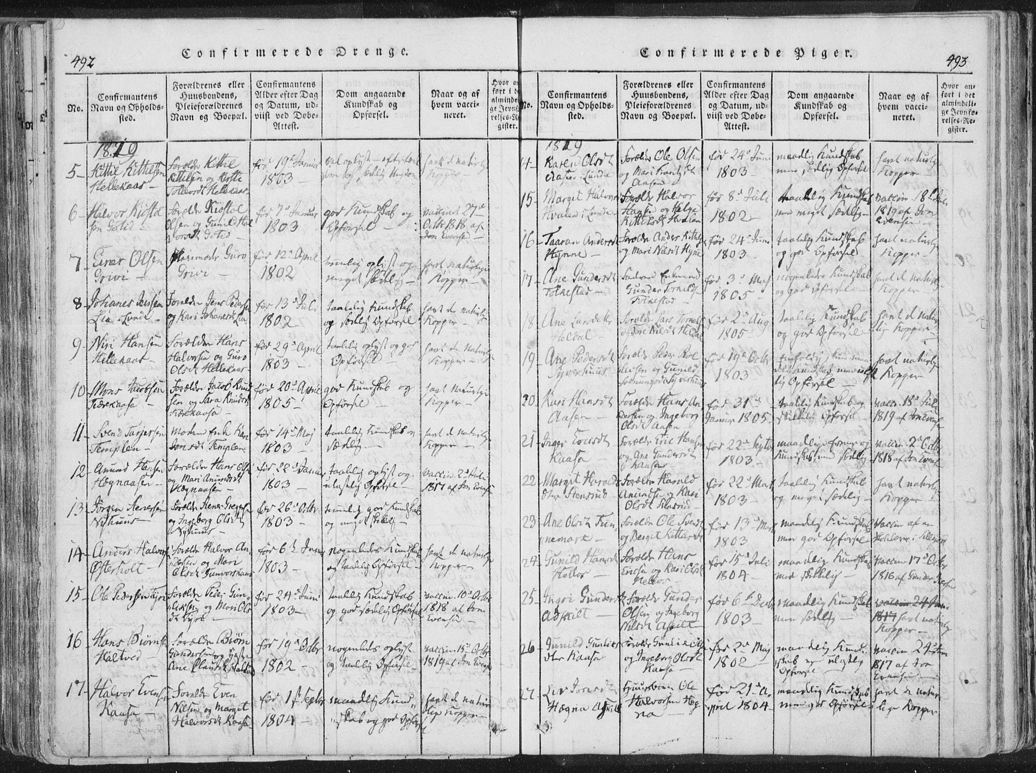 Bø kirkebøker, AV/SAKO-A-257/F/Fa/L0006: Parish register (official) no. 6, 1815-1831, p. 492-493