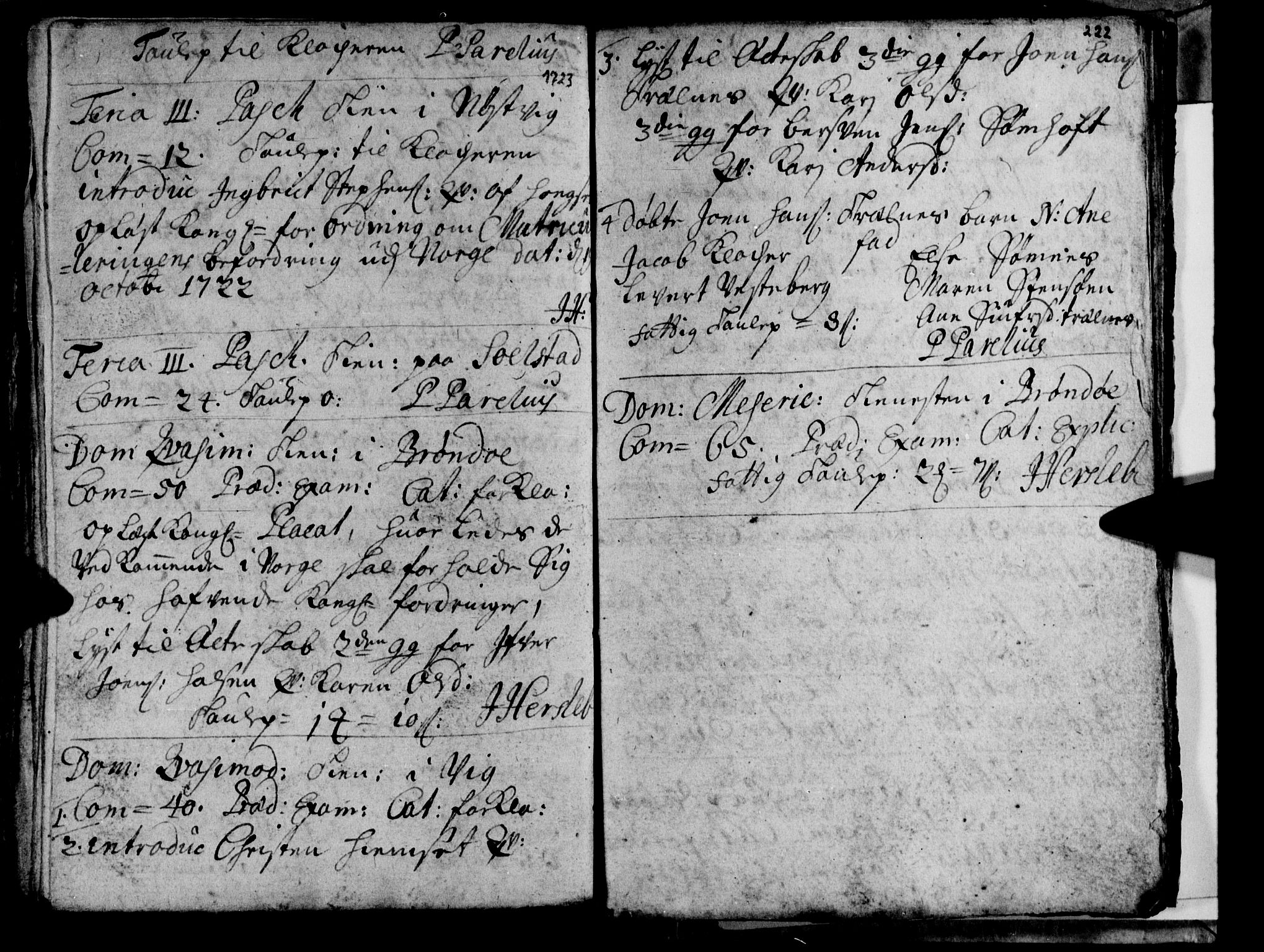 Ministerialprotokoller, klokkerbøker og fødselsregistre - Nordland, AV/SAT-A-1459/813/L0193: Parish register (official) no. 813A03, 1714-1724, p. 222