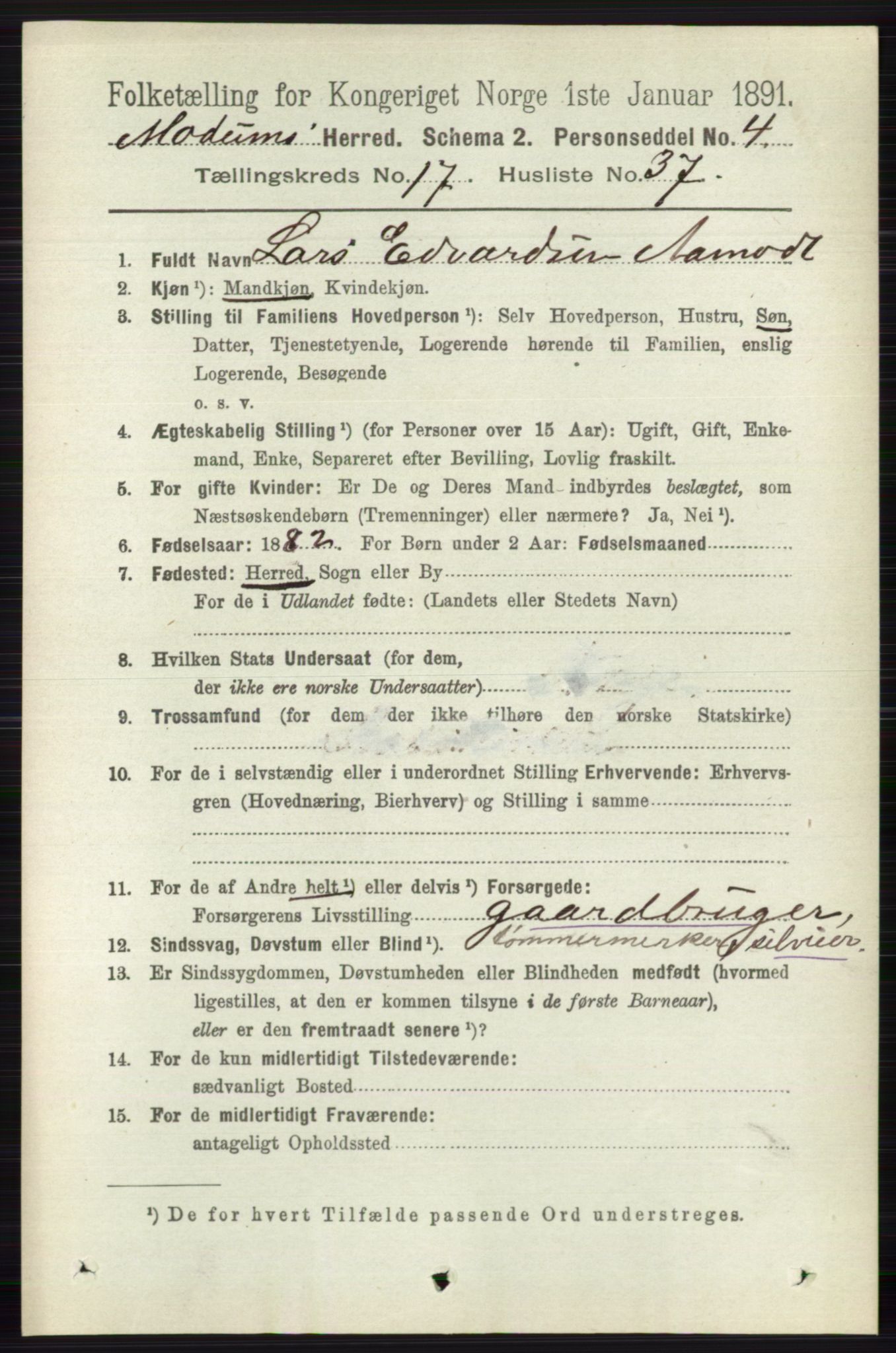 RA, 1891 census for 0623 Modum, 1891, p. 6821
