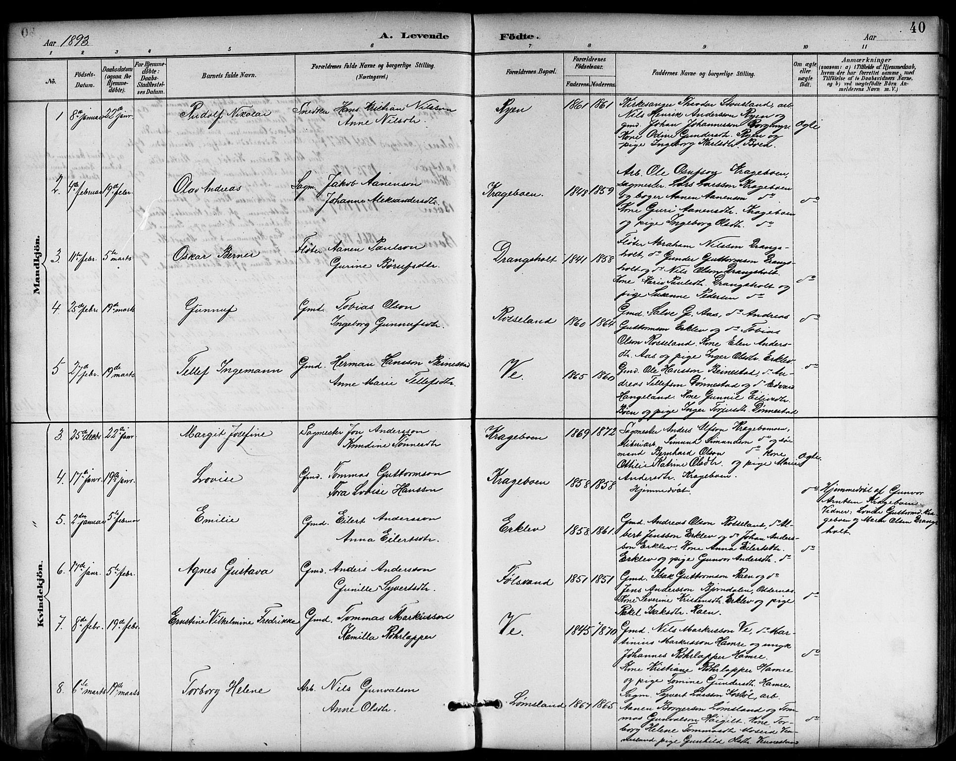 Tveit sokneprestkontor, AV/SAK-1111-0043/F/Fb/L0004: Parish register (copy) no. B 4, 1887-1914, p. 40