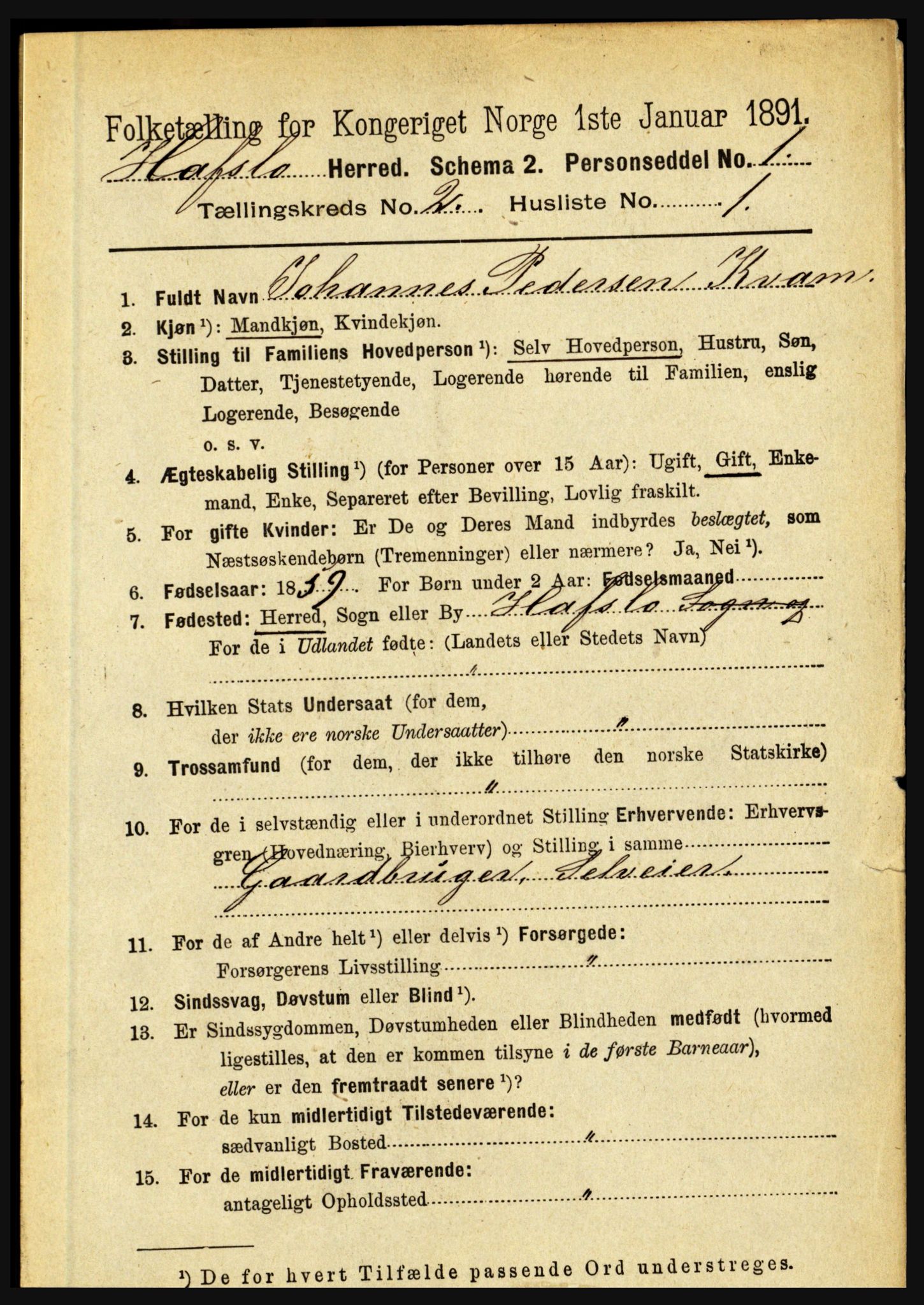 RA, 1891 census for 1425 Hafslo, 1891, p. 543