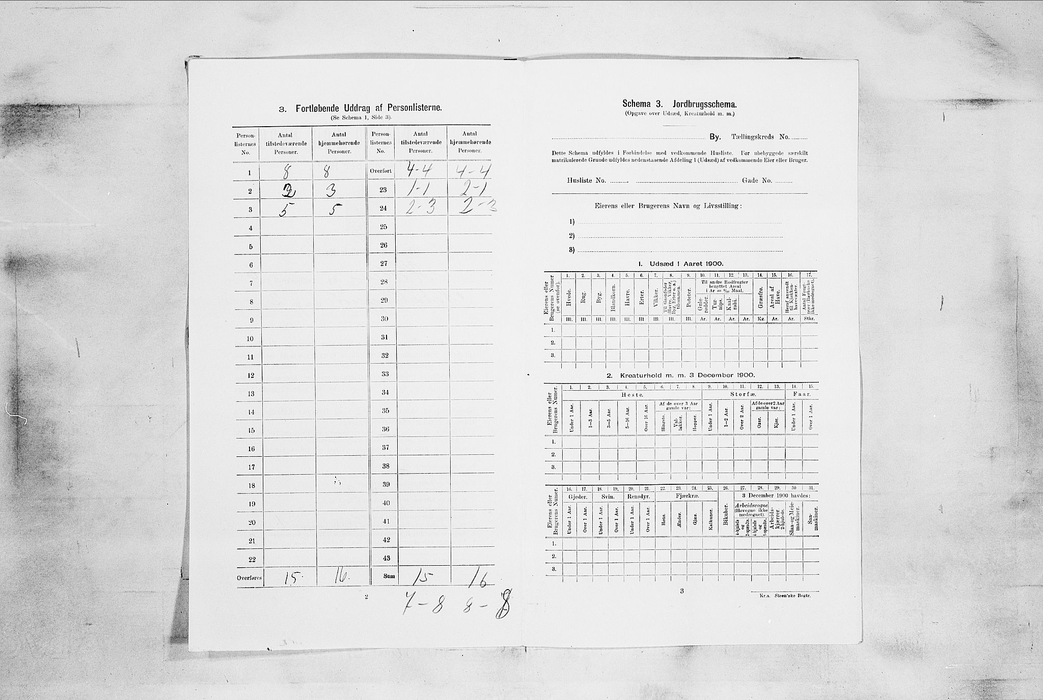 RA, 1900 census for Horten, 1900, p. 4429