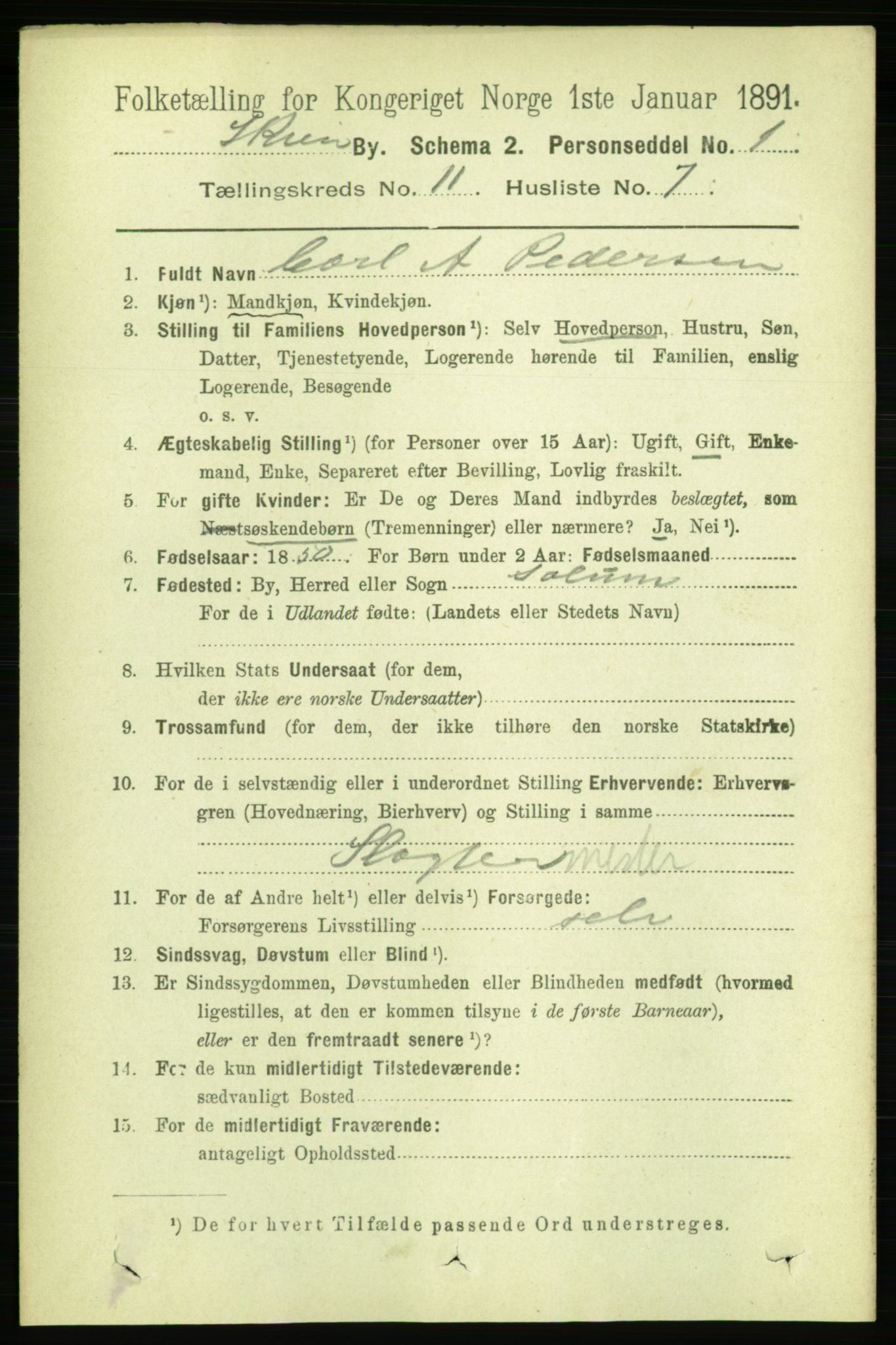 RA, 1891 census for 0806 Skien, 1891, p. 3945