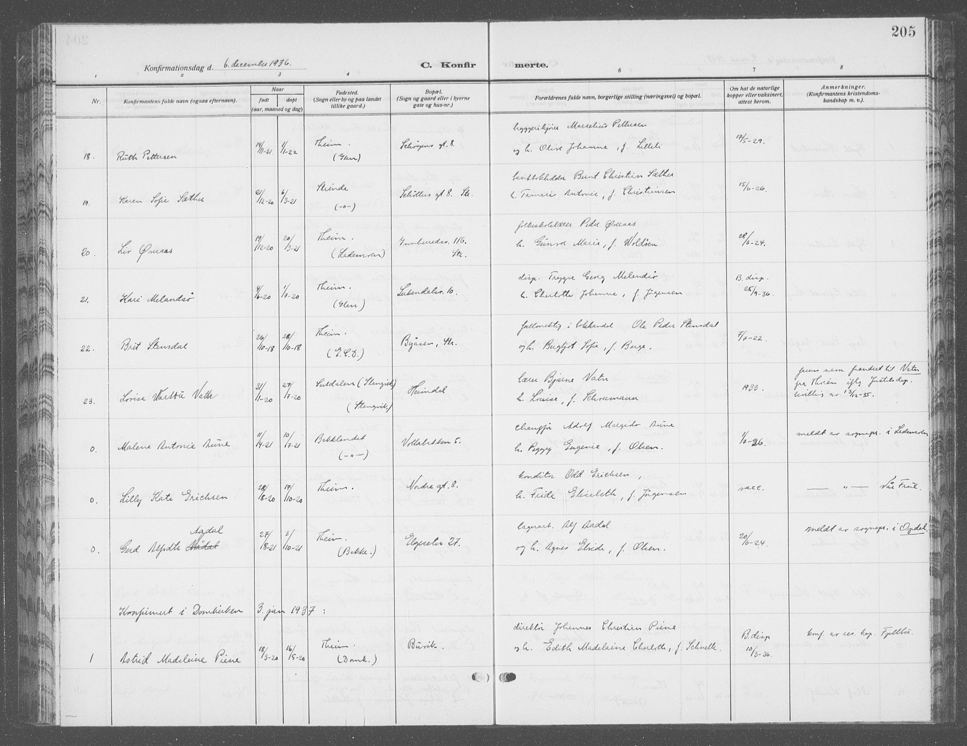 Ministerialprotokoller, klokkerbøker og fødselsregistre - Sør-Trøndelag, SAT/A-1456/601/L0099: Parish register (copy) no. 601C17, 1928-1941, p. 205