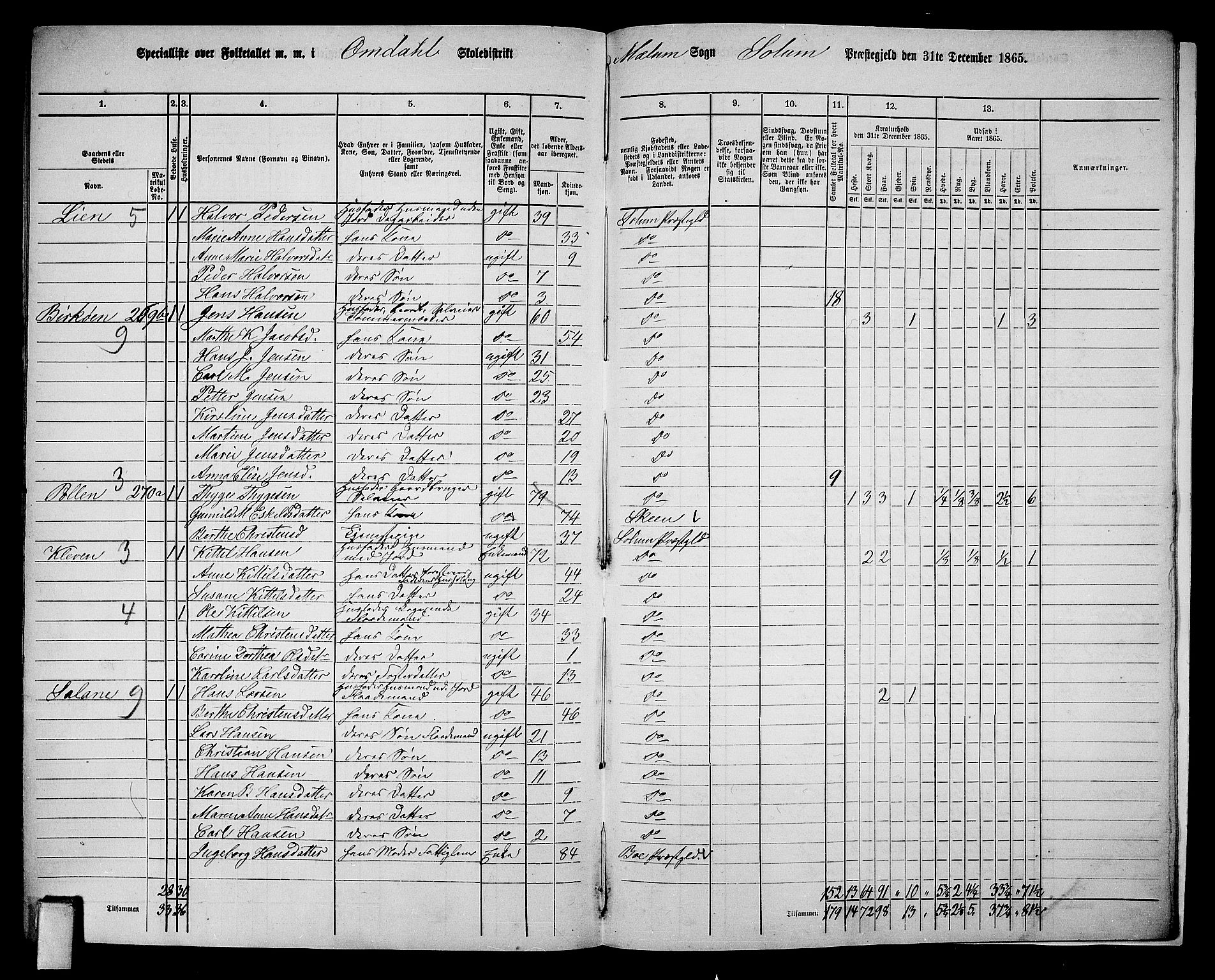 RA, 1865 census for Solum, 1865, p. 210