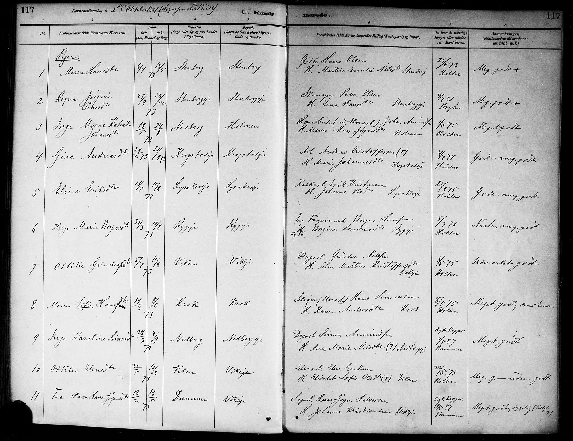 Nedre Eiker kirkebøker, AV/SAKO-A-612/F/Fa/L0003: Parish register (official) no. 3, 1885-1892, p. 117