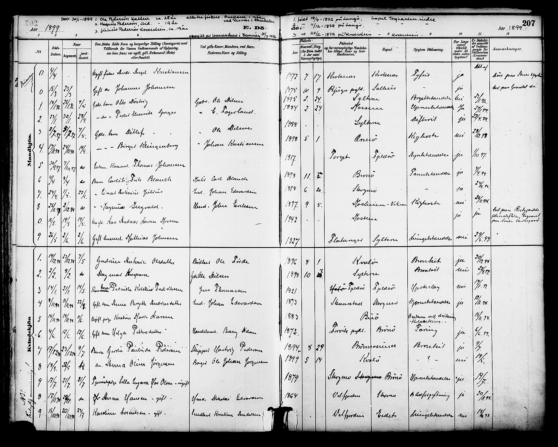 Ministerialprotokoller, klokkerbøker og fødselsregistre - Nordland, SAT/A-1459/813/L0200: Parish register (official) no. 813A10, 1886-1900, p. 207