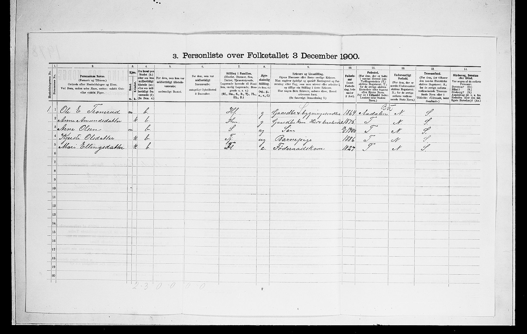 RA, 1900 census for Norderhov, 1900, p. 117