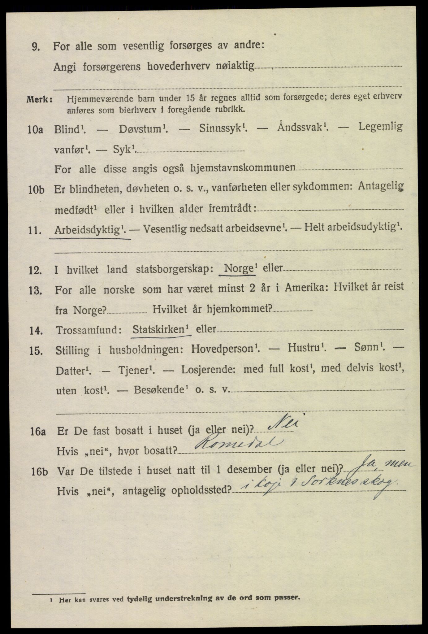 SAH, 1920 census for Åmot, 1920, p. 5060