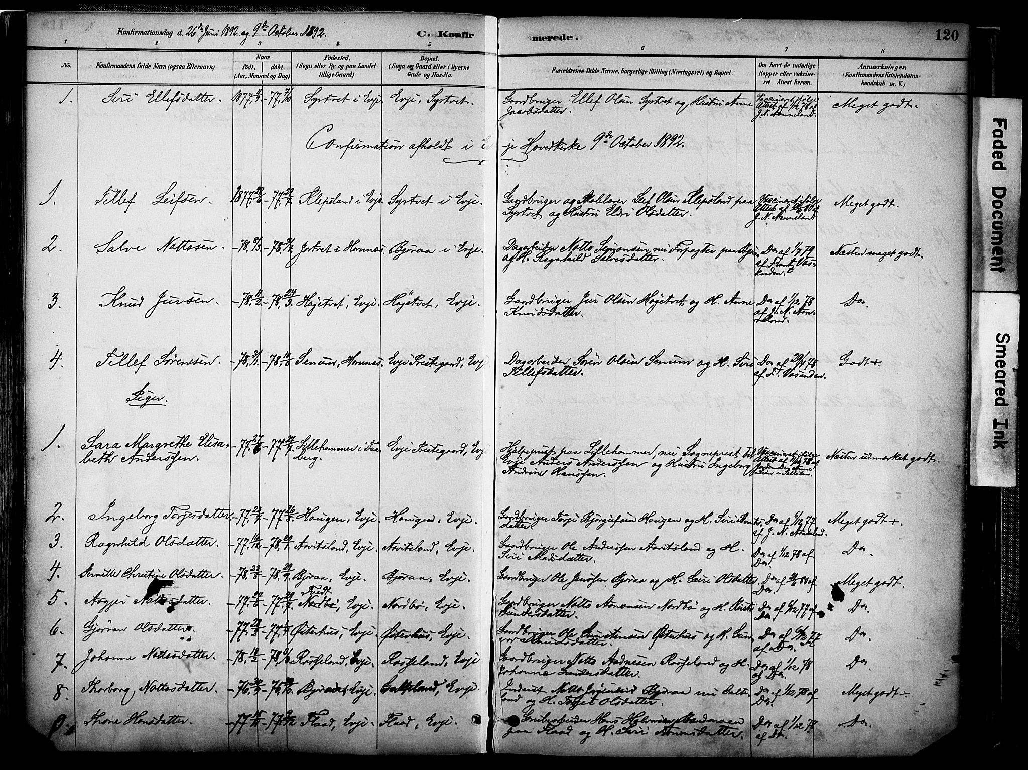 Evje sokneprestkontor, AV/SAK-1111-0008/F/Fa/Faa/L0007: Parish register (official) no. A 7, 1884-1909, p. 120