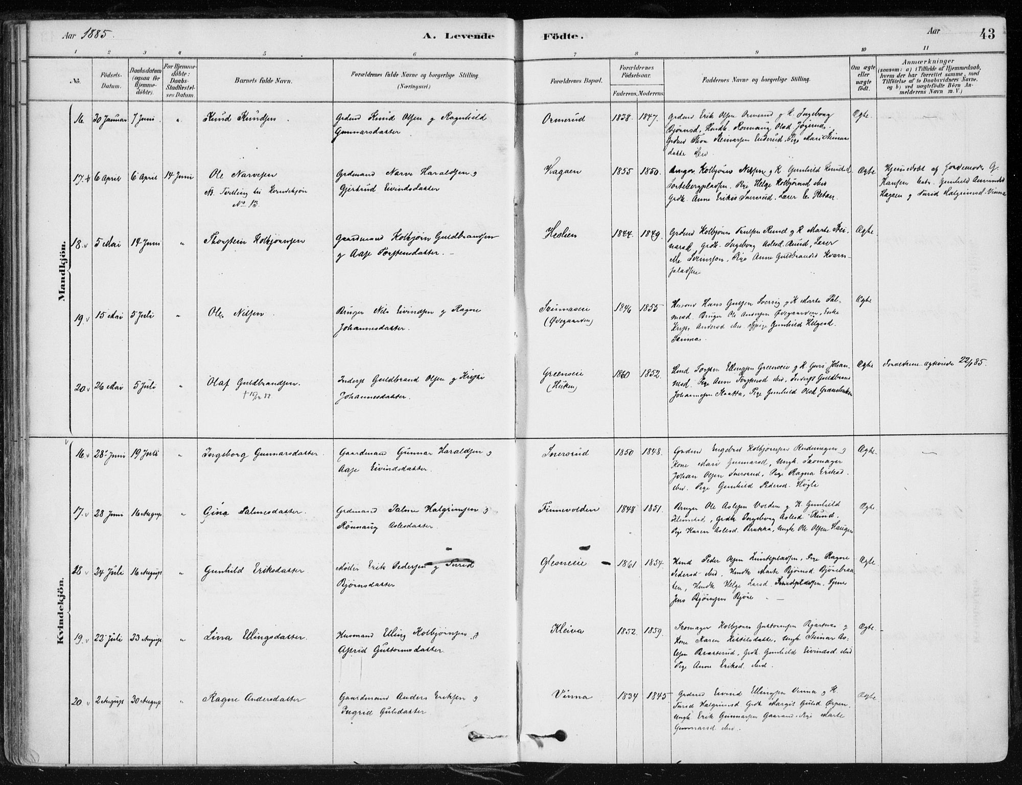 Krødsherad kirkebøker, SAKO/A-19/F/Fa/L0005: Parish register (official) no. 5, 1879-1888, p. 43