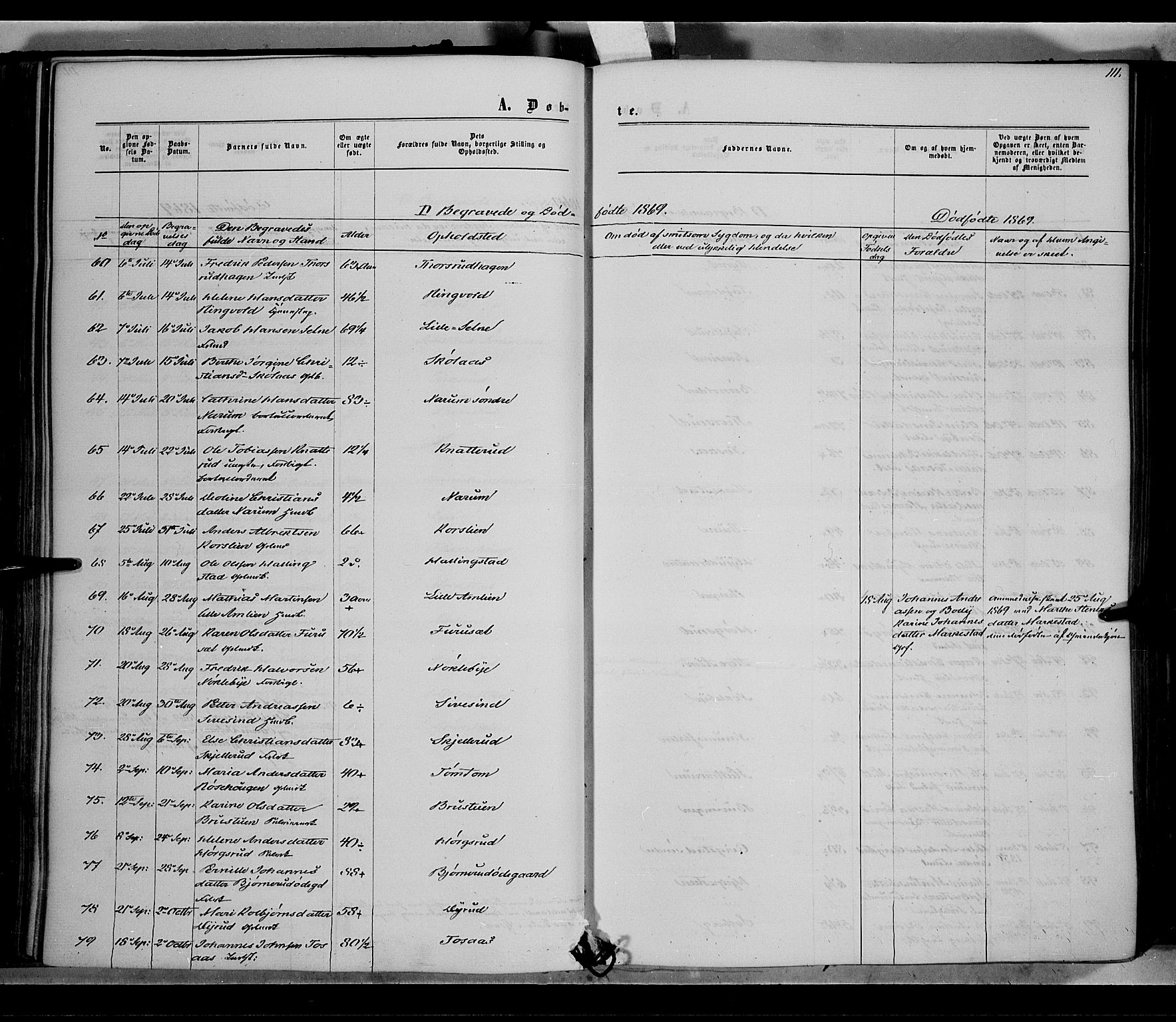 Vestre Toten prestekontor, AV/SAH-PREST-108/H/Ha/Haa/L0007: Parish register (official) no. 7, 1862-1869, p. 111