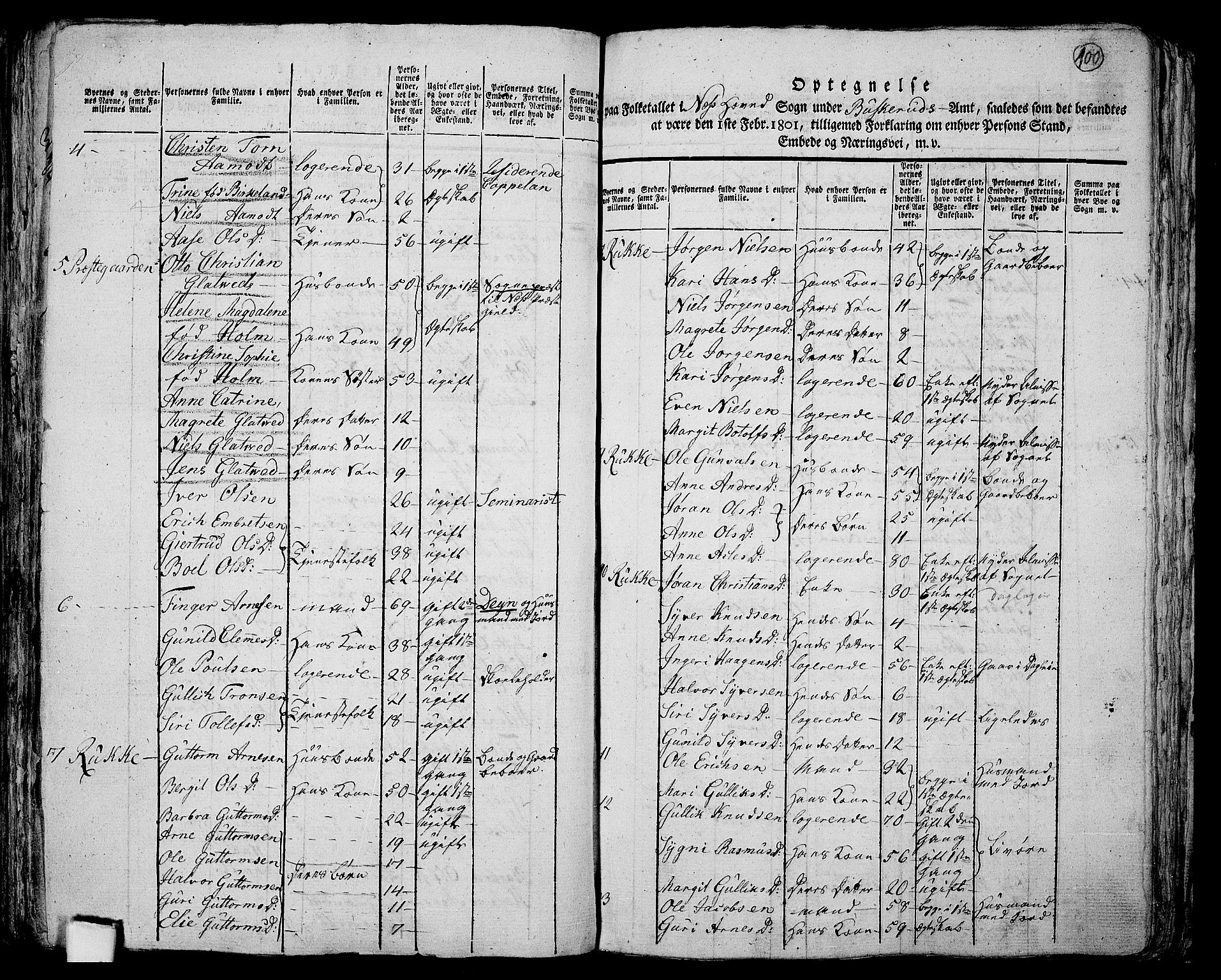 RA, 1801 census for 0616P Nes, 1801, p. 99b-100a