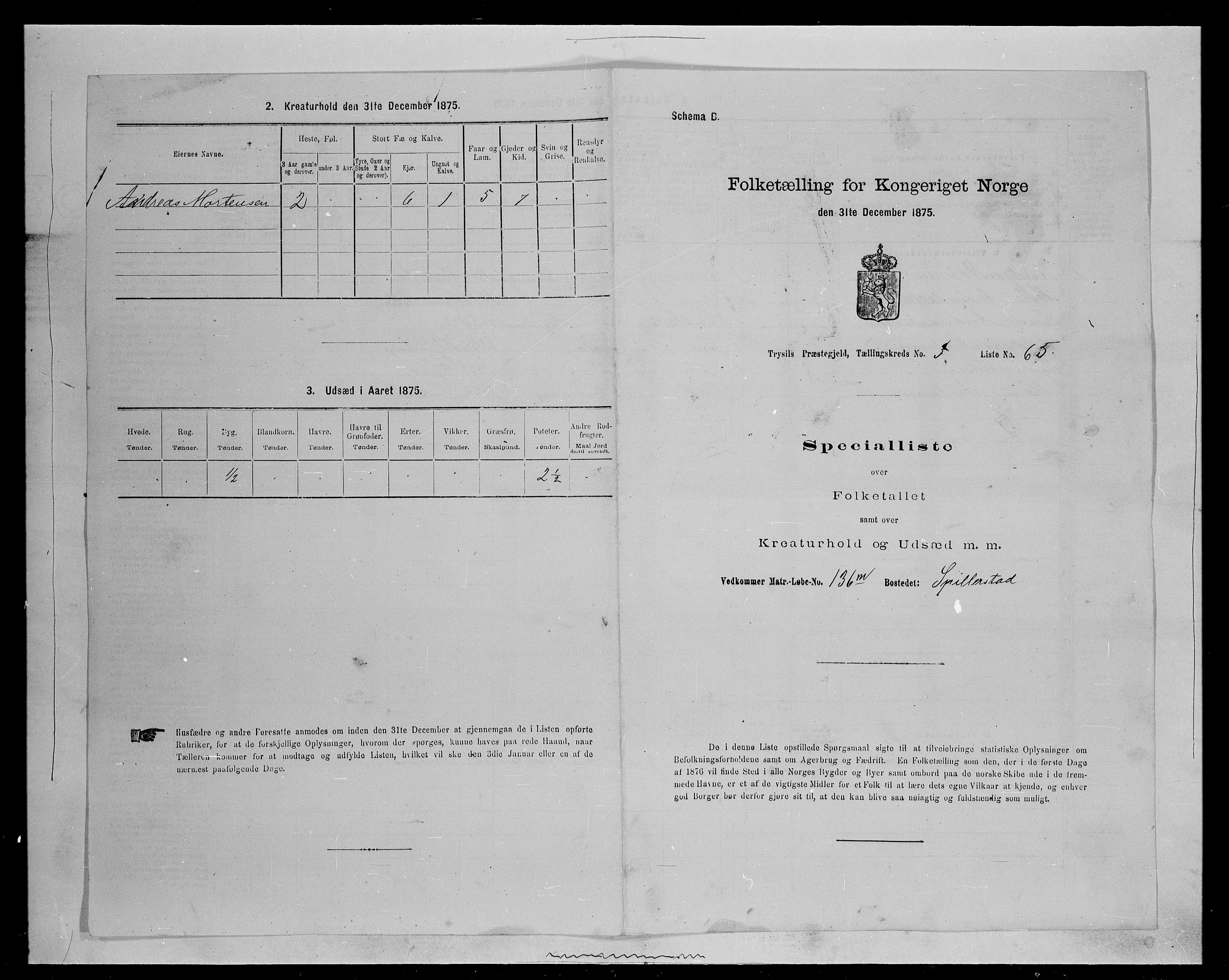 SAH, 1875 census for 0428P Trysil, 1875, p. 532