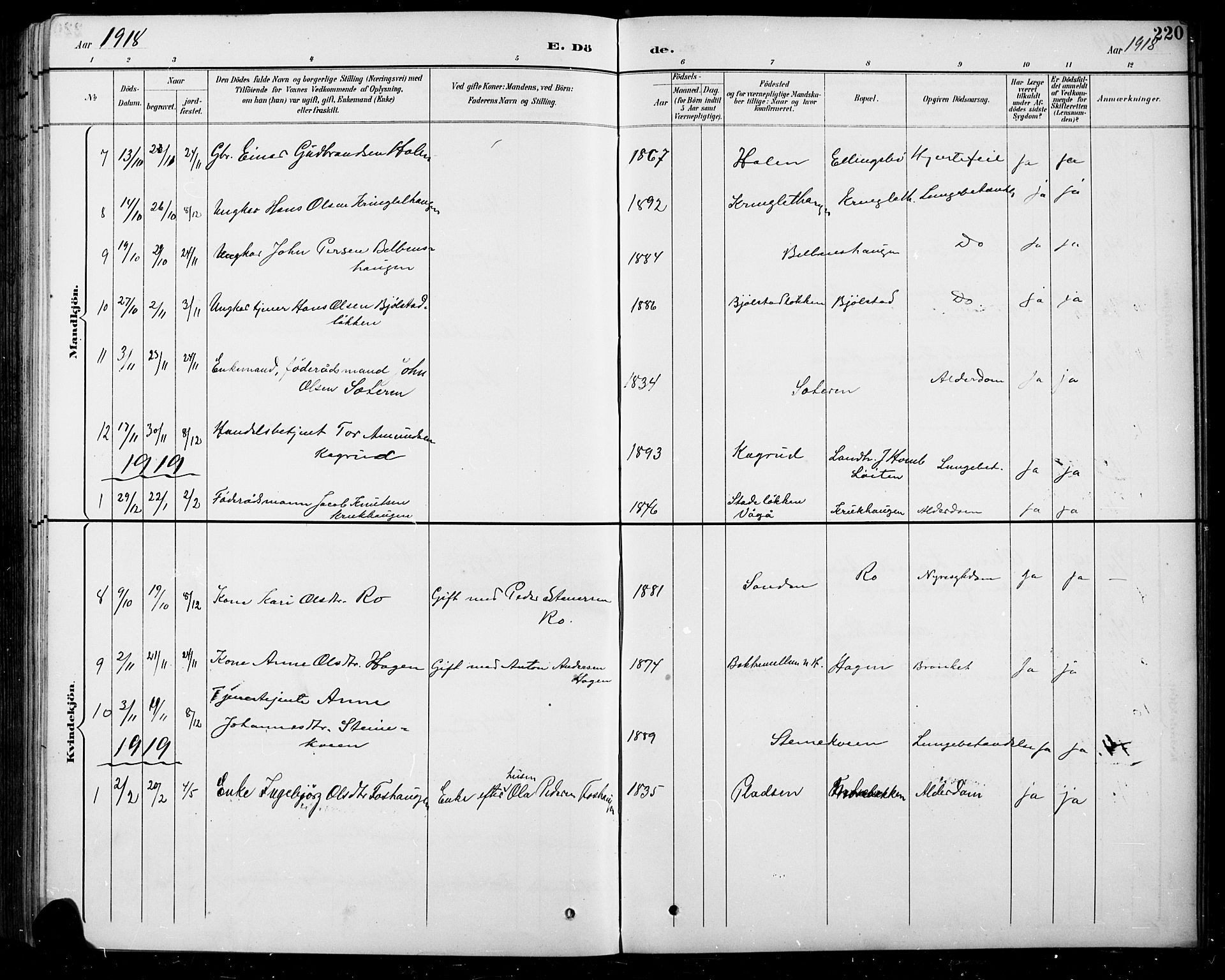 Sel prestekontor, SAH/PREST-074/H/Ha/Hab/L0005: Parish register (copy) no. 5, 1894-1923, p. 220