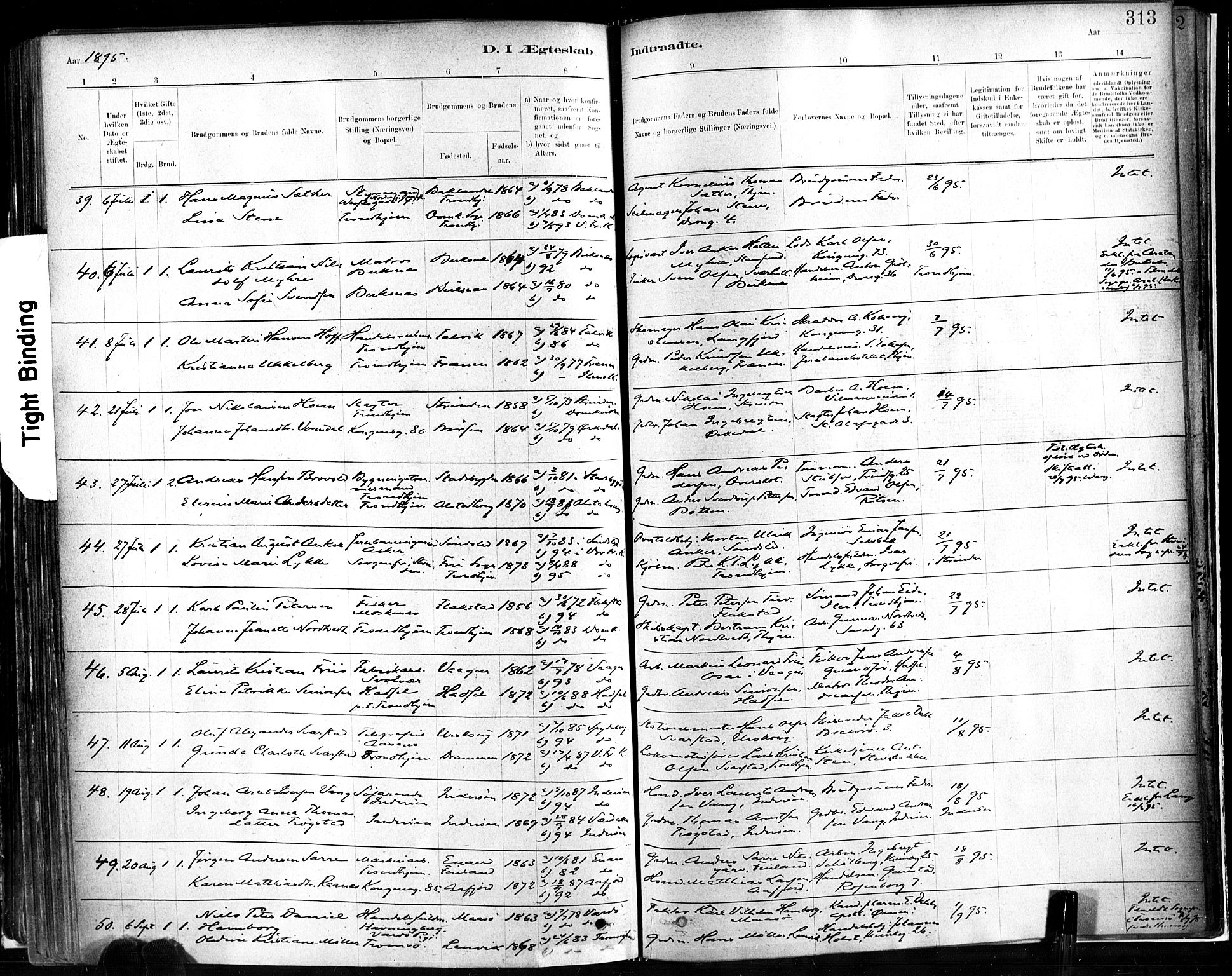 Ministerialprotokoller, klokkerbøker og fødselsregistre - Sør-Trøndelag, AV/SAT-A-1456/602/L0119: Parish register (official) no. 602A17, 1880-1901, p. 313