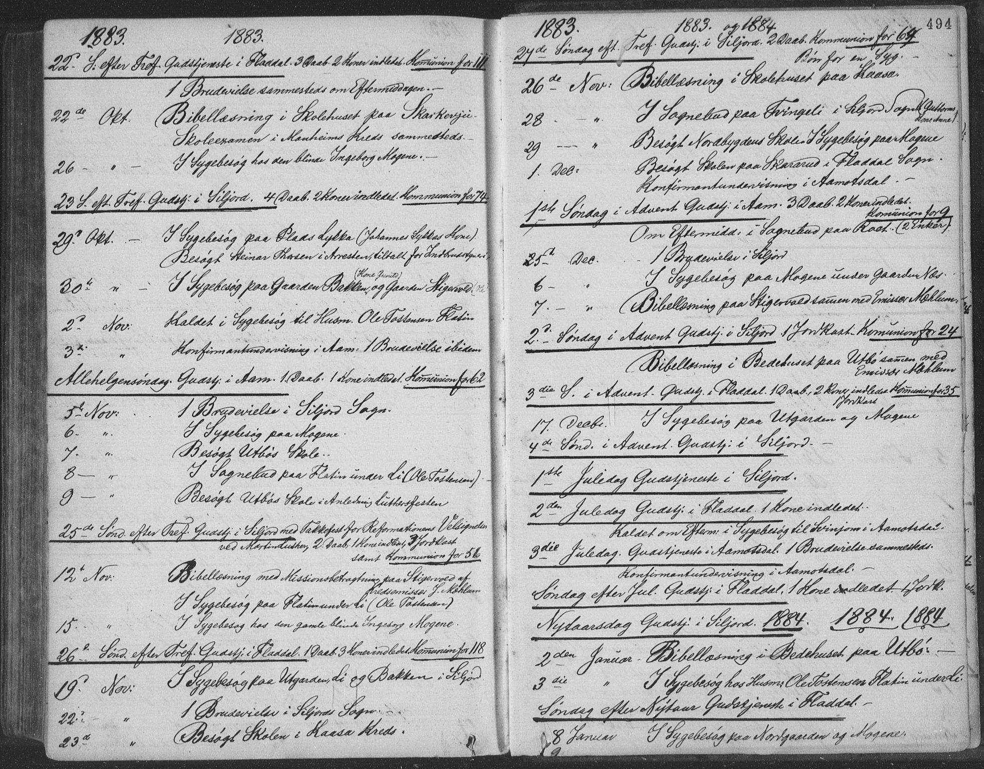 Seljord kirkebøker, SAKO/A-20/F/Fa/L0014: Parish register (official) no. I 14, 1877-1886, p. 494