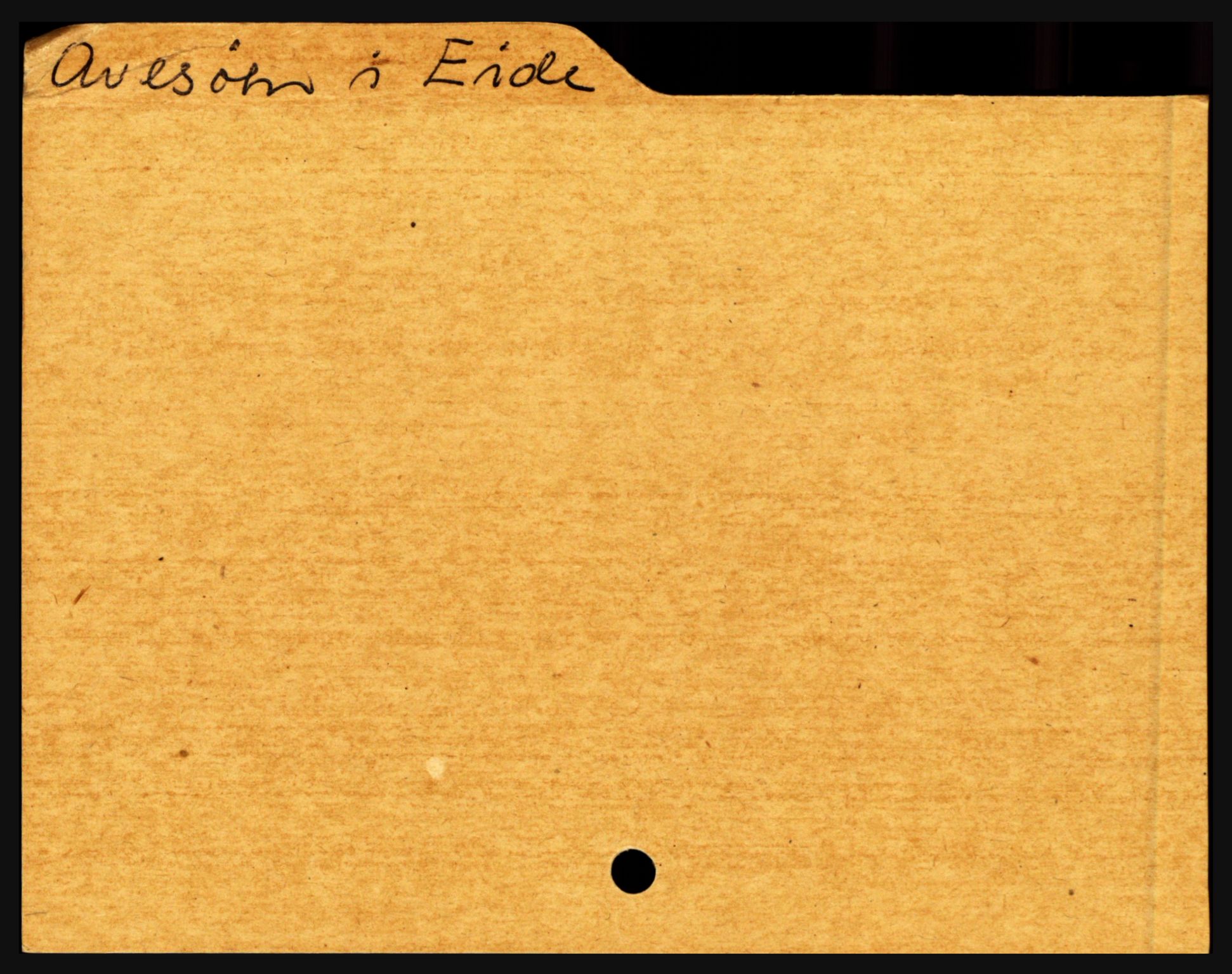 Nedenes sorenskriveri før 1824, SAK/1221-0007/H, p. 1305