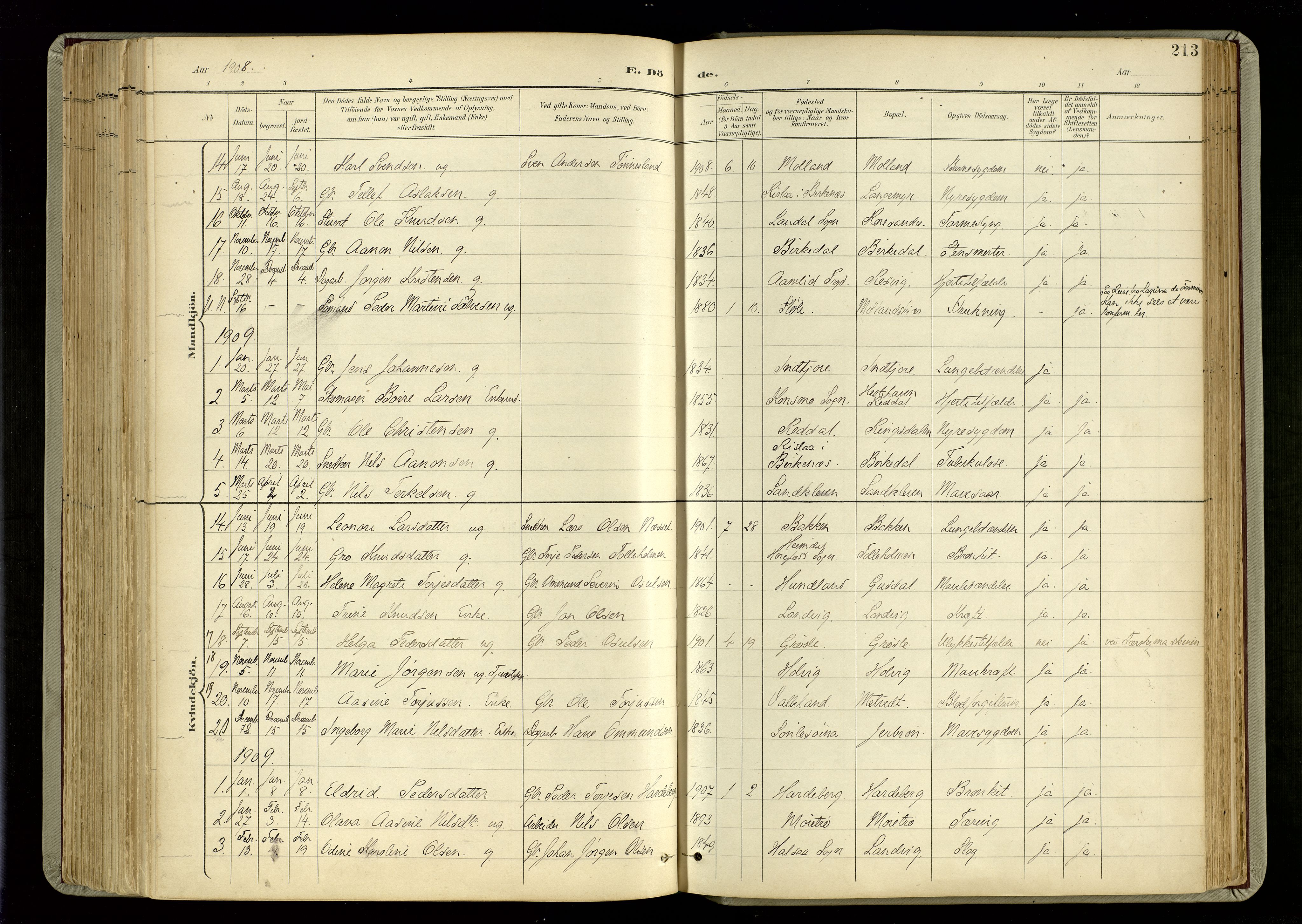 Hommedal sokneprestkontor, AV/SAK-1111-0023/F/Fa/Fab/L0007: Parish register (official) no. A 7, 1898-1924, p. 213