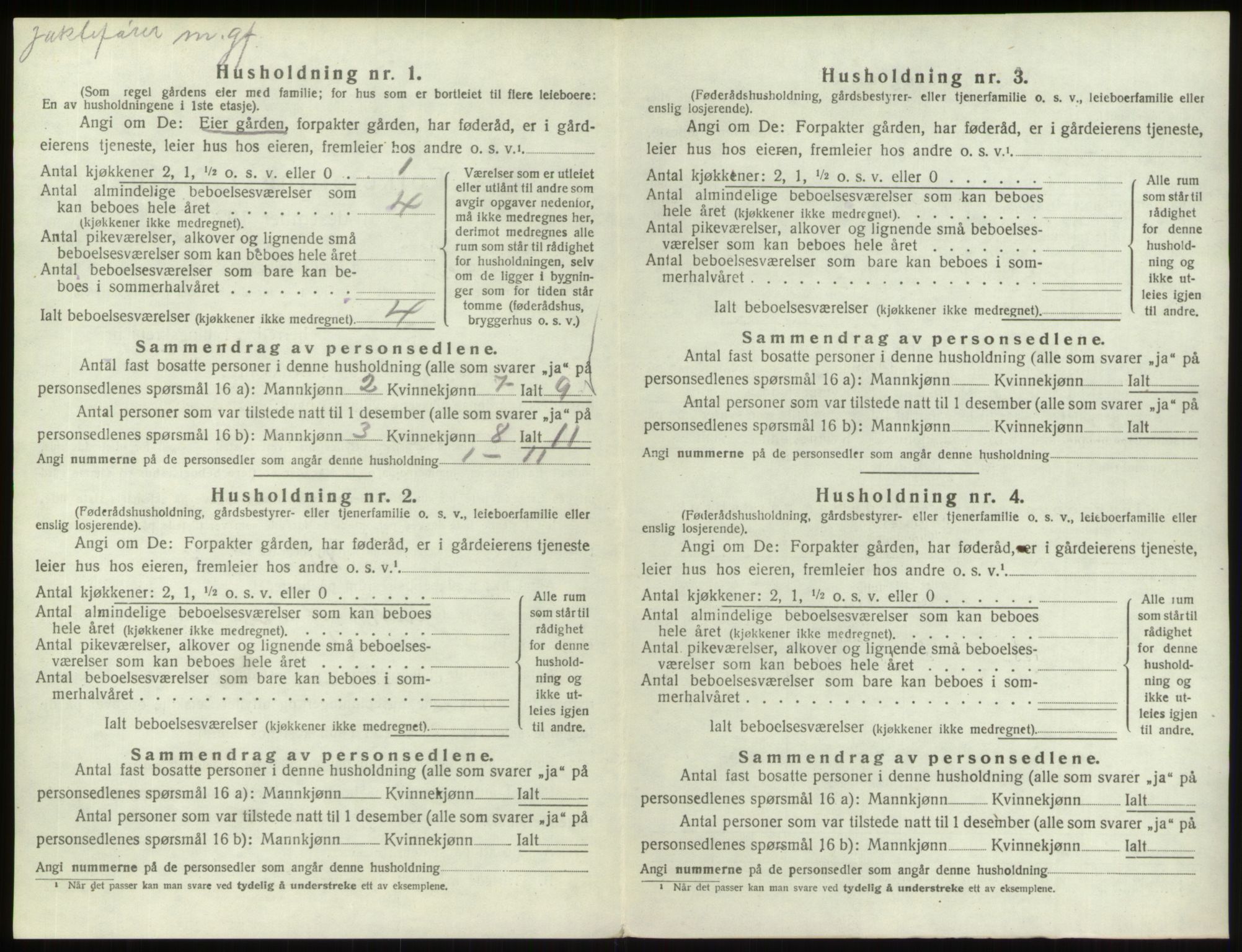 SAO, 1920 census for Hvaler, 1920, p. 1002